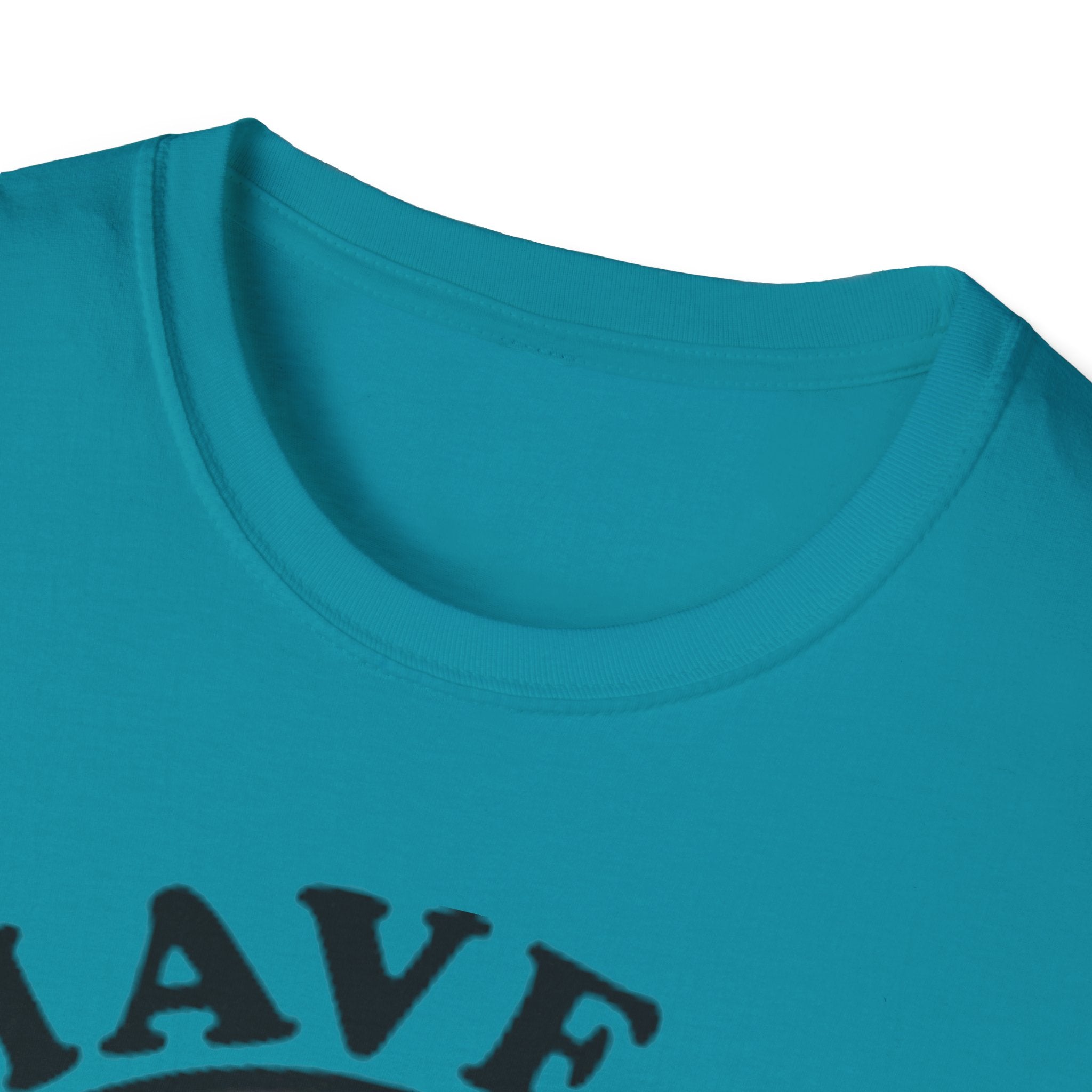 Have A Gay Day Rainbow Smile Unisex Softstyle T-Shirt