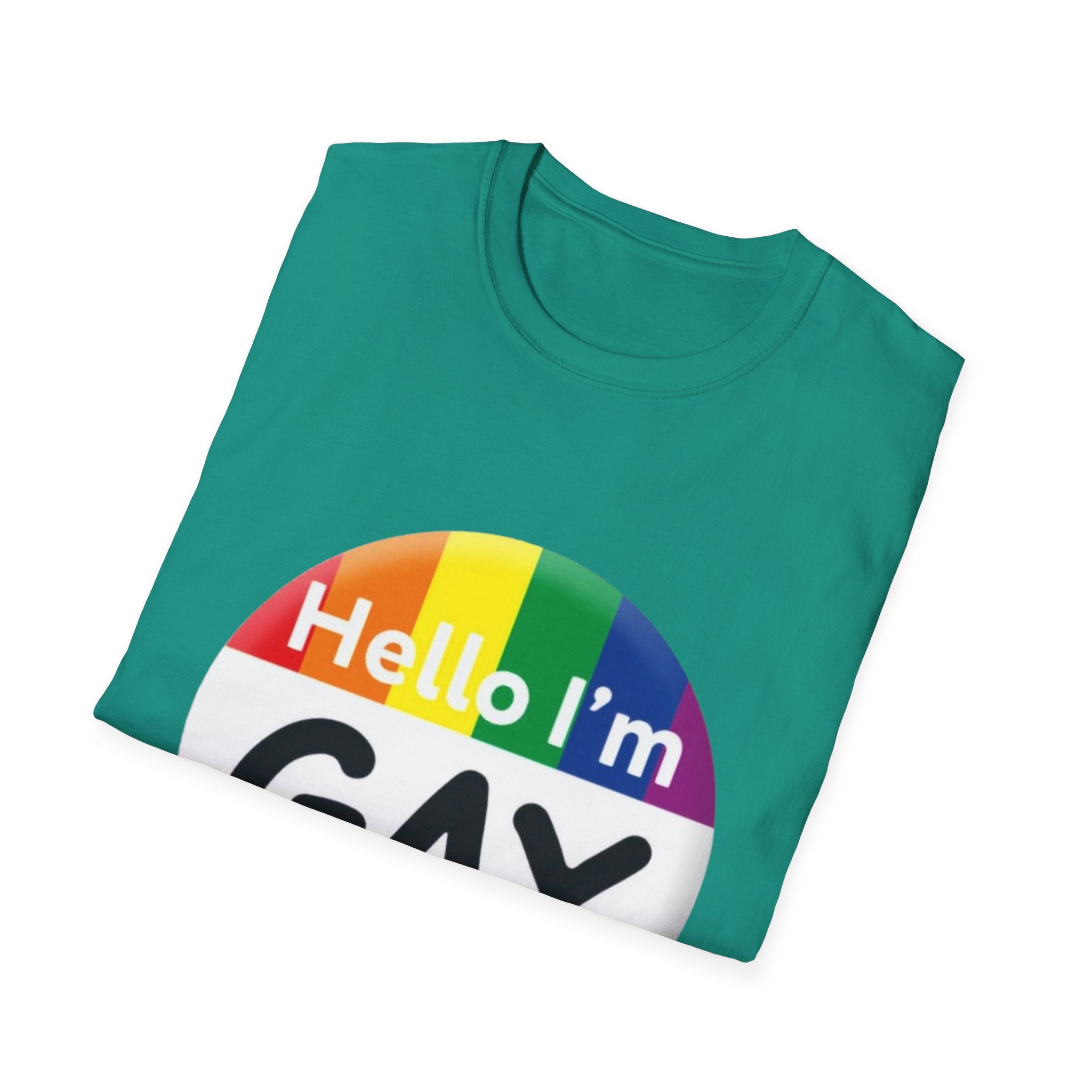Hello I'm Gay Unisex Softstyle T-Shirt