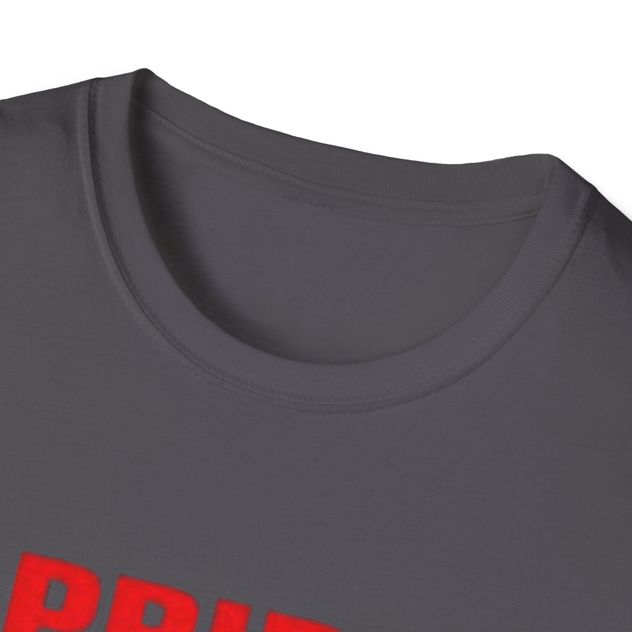 Pride Celebration Unisex Softstyle T-Shirt