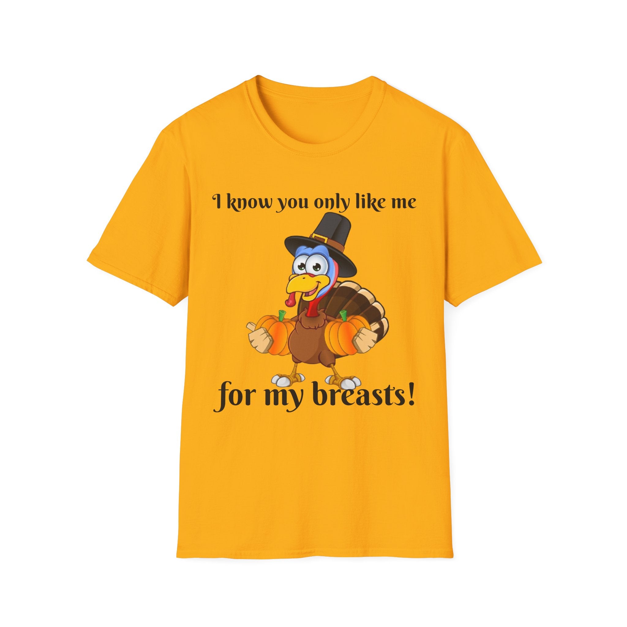 I Know You Only Like Me For My Breasts Unisex Softstyle T-Shirt