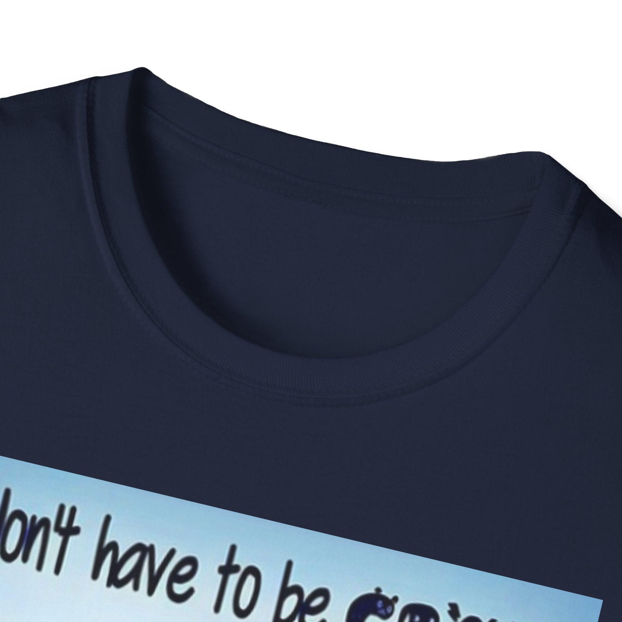 You Don't Have to be CRAZY to be my Friend, I'll Train You! Unisex Softstyle T-Shirt