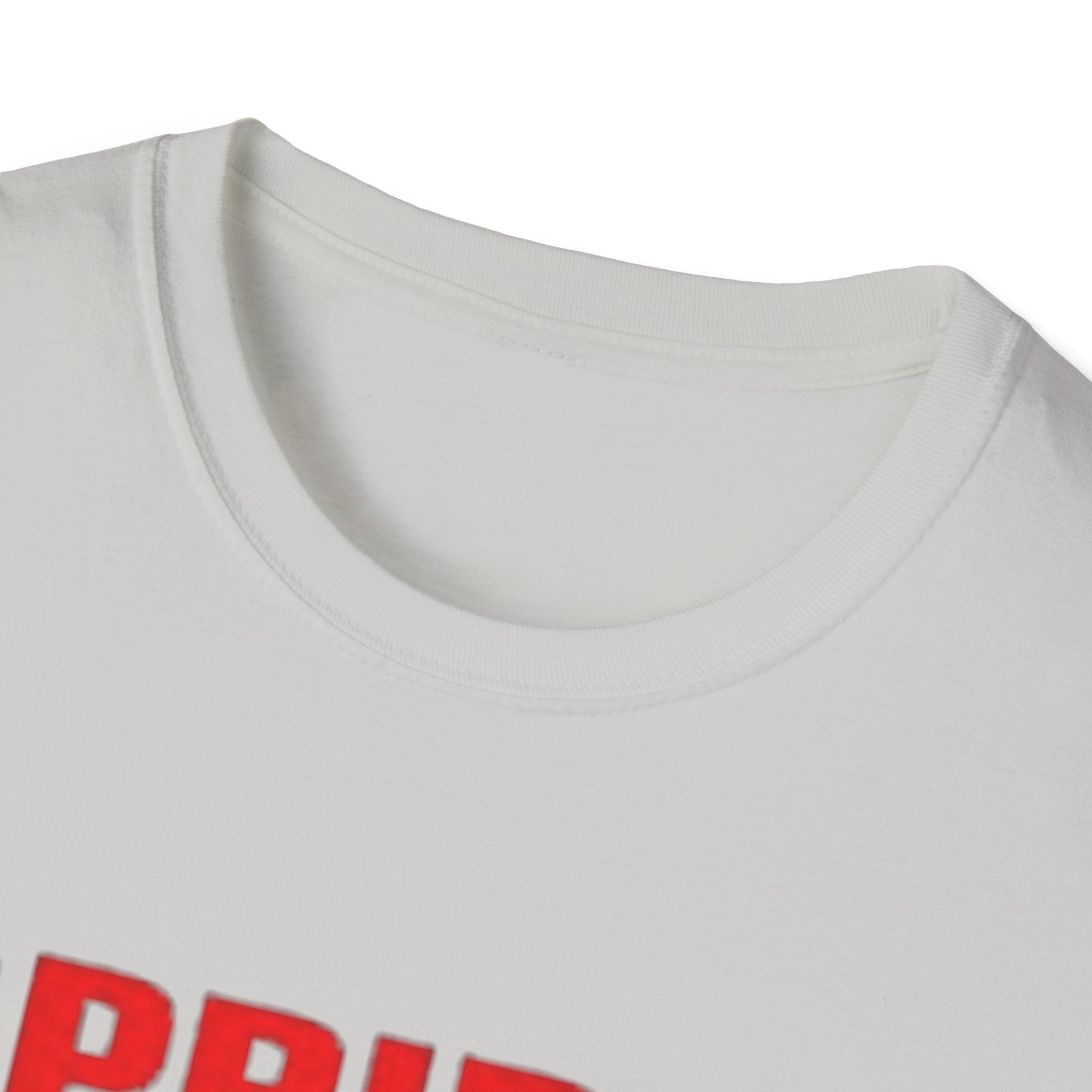 Pride Celebration Unisex Softstyle T-Shirt