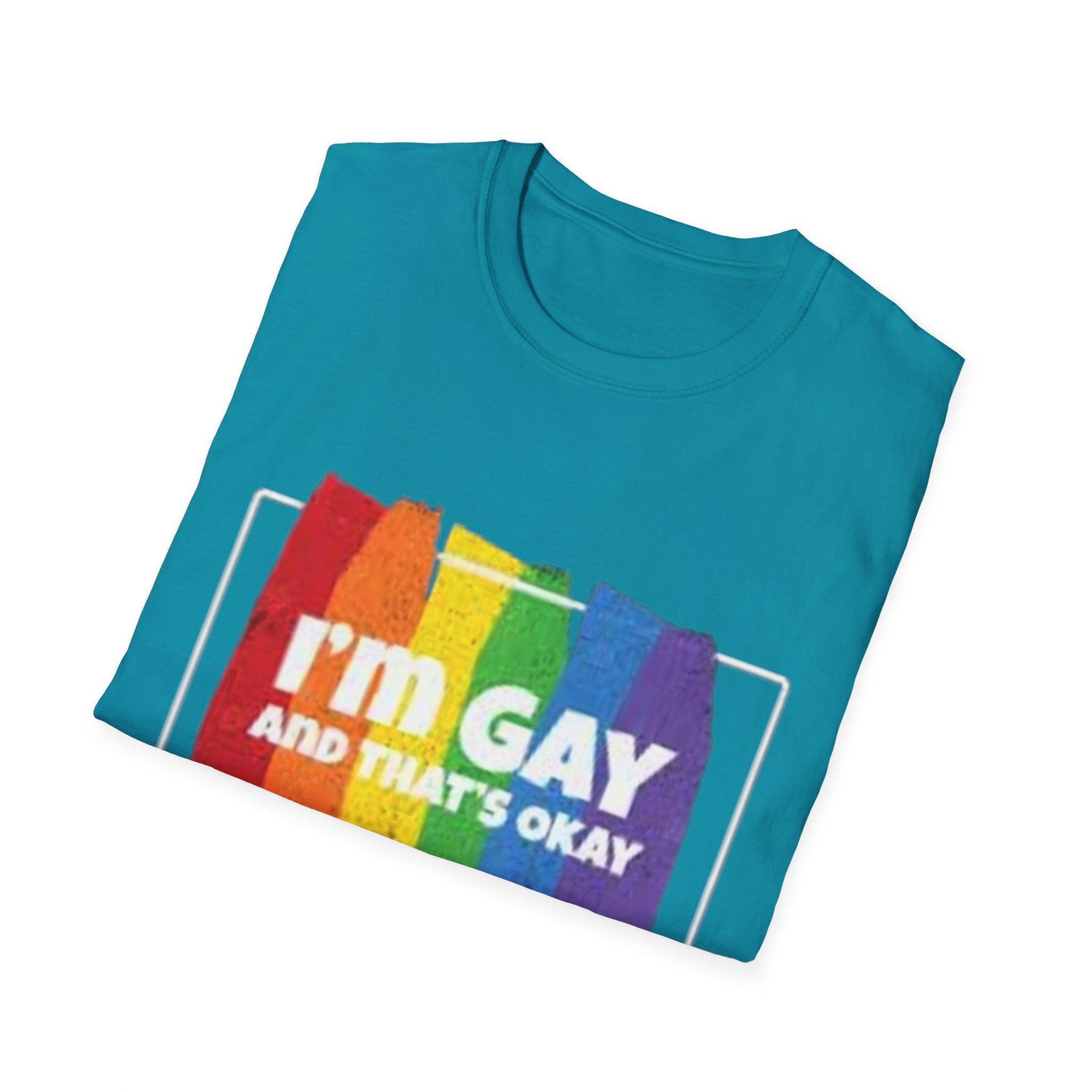 I'm GAY And That's Okay Unisex Softstyle T-Shirt