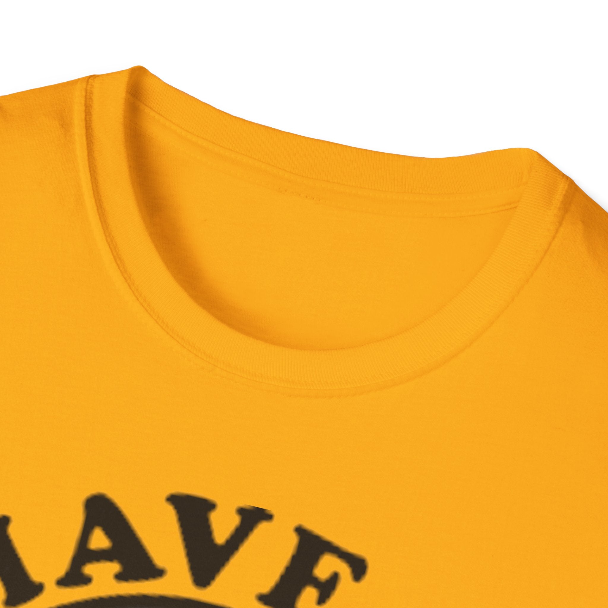 Have A Gay Day Rainbow Smile Unisex Softstyle T-Shirt