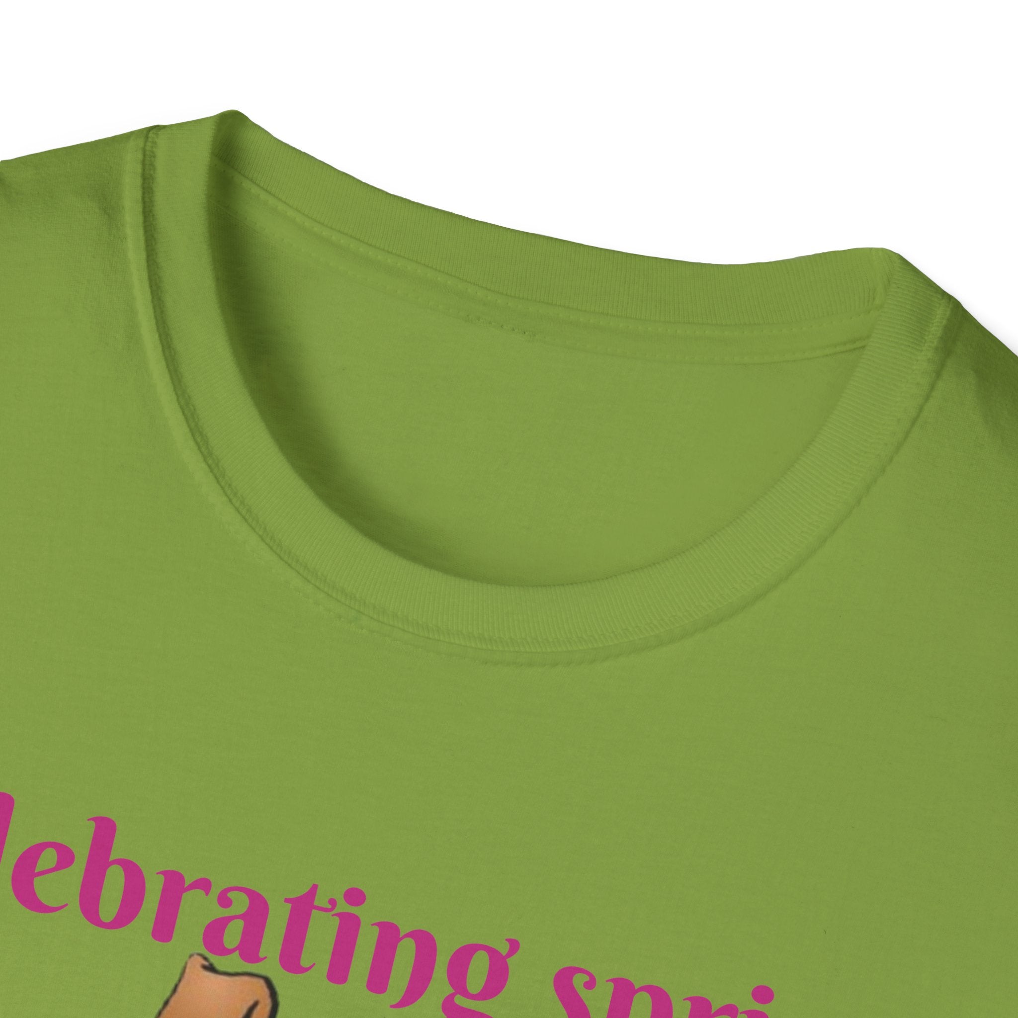 Celebrating Spring With Flowers And Friends Bunny Unisex Softstyle T-Shirt