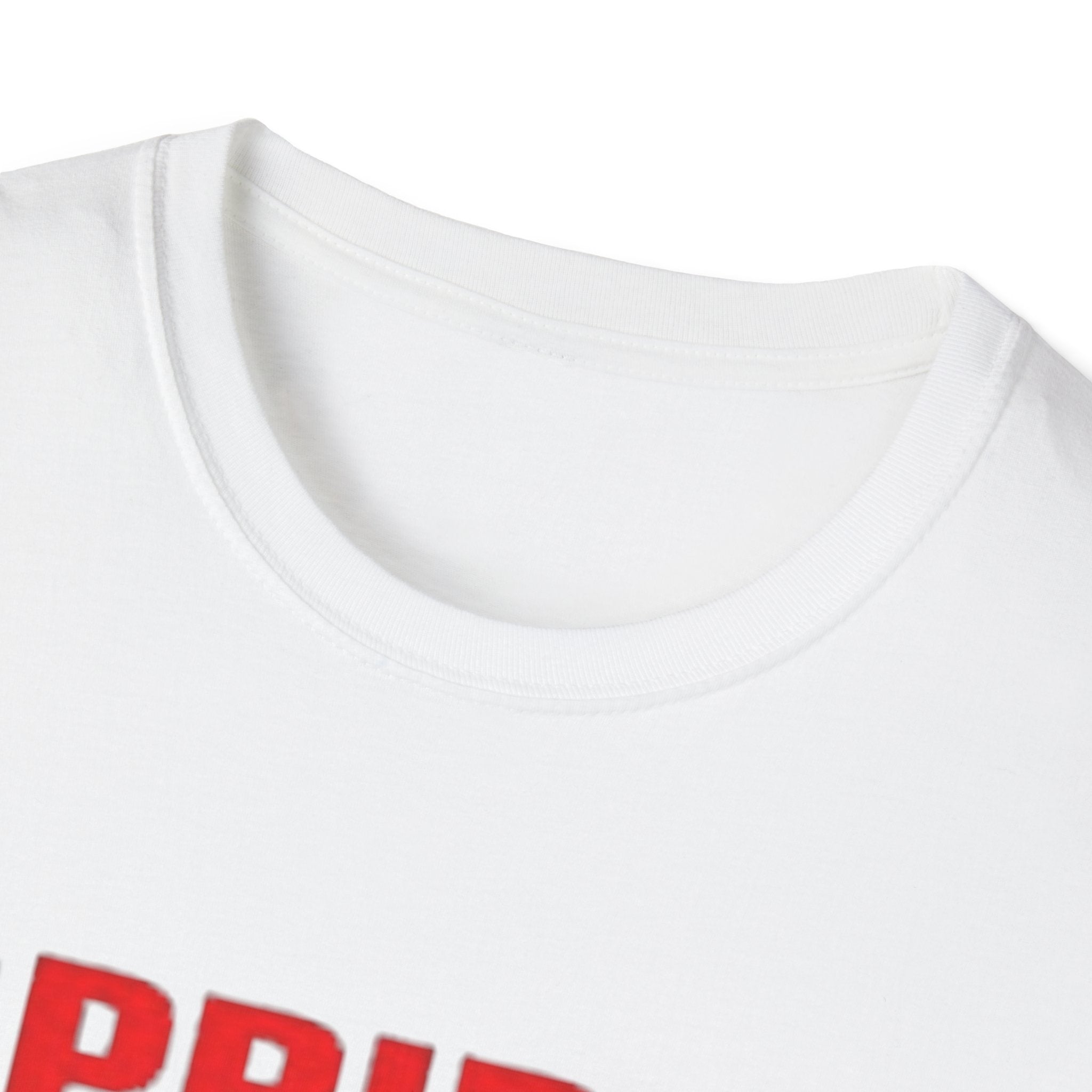 Pride Celebration Unisex Softstyle T-Shirt