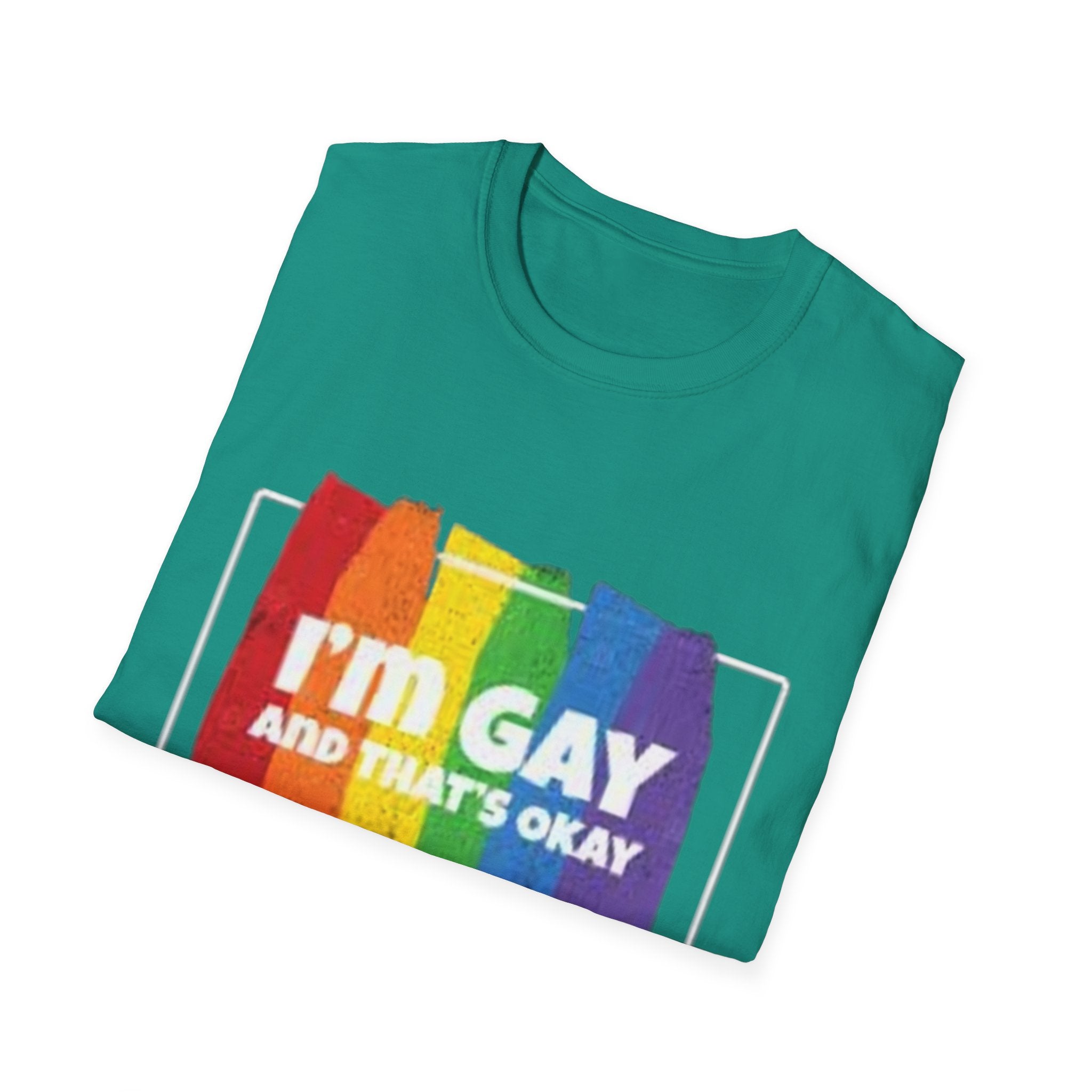 I'm GAY And That's Okay Unisex Softstyle T-Shirt