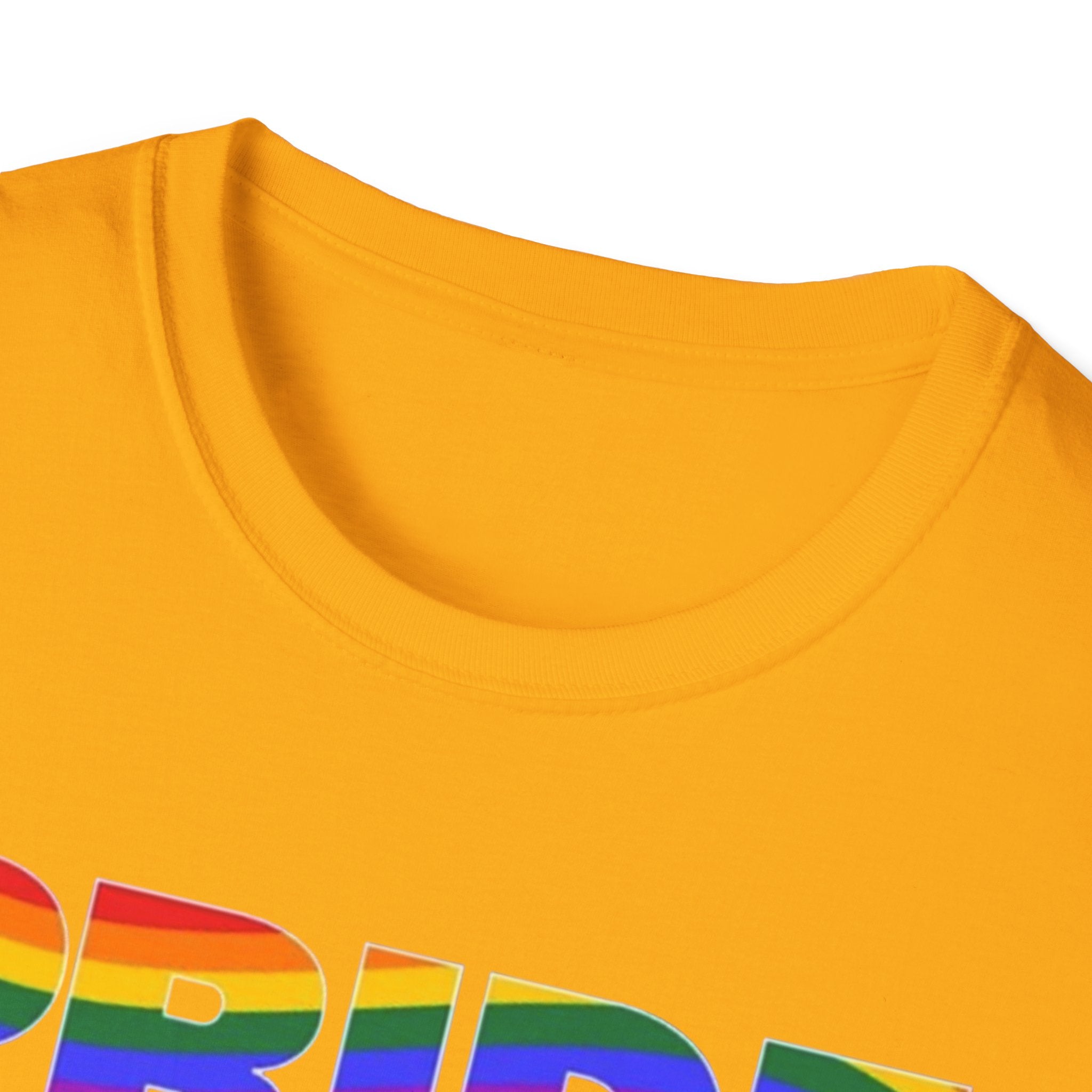 Pride Celebration Unisex Softstyle T-Shirt