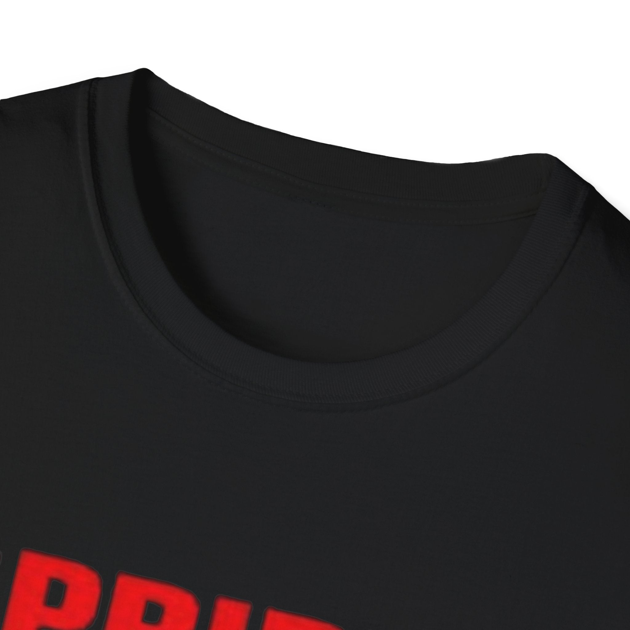 Pride Celebration Unisex Softstyle T-Shirt