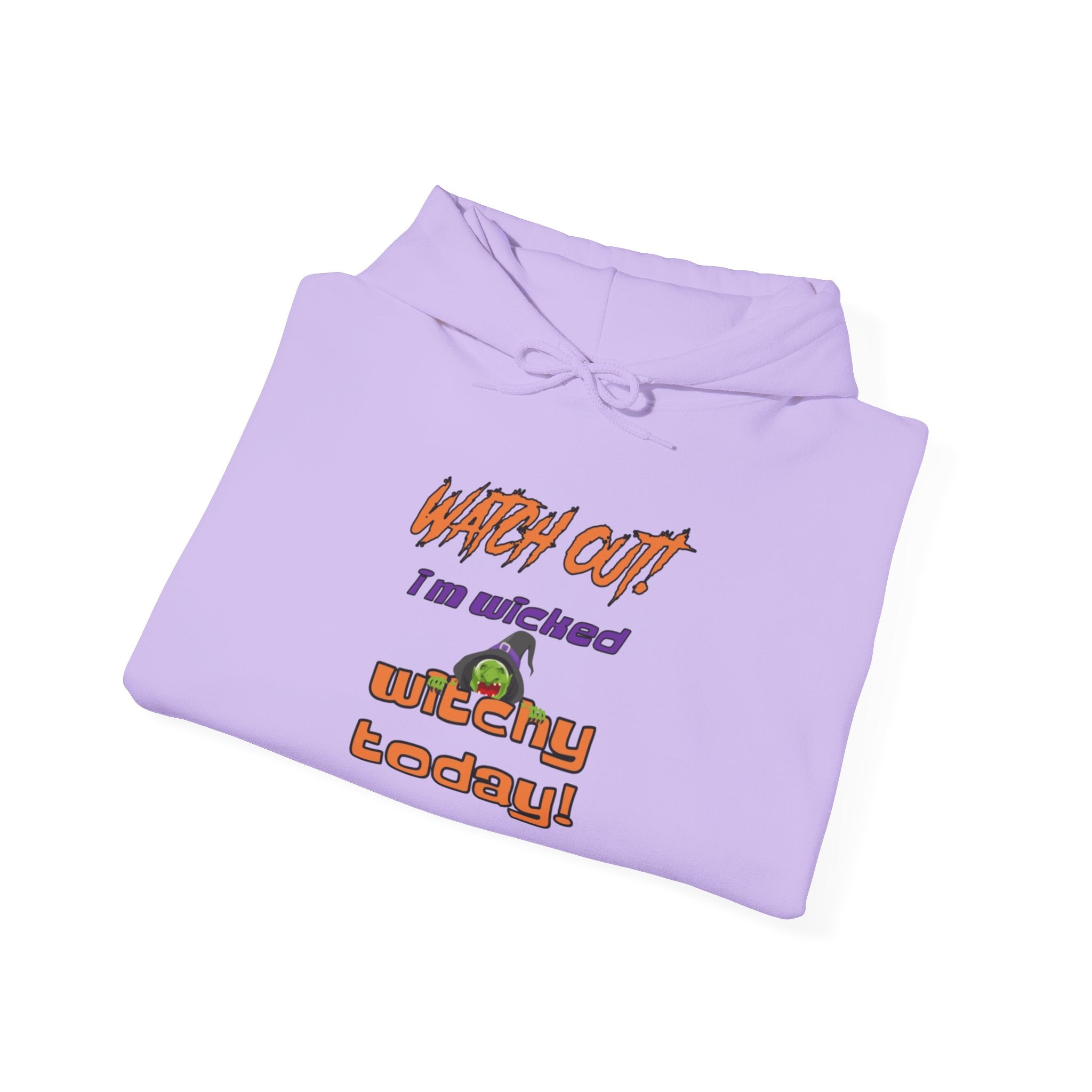 Watch Out I Am Wicked Witchy Today Unisex Heavy Blend Hooded Sweatshirt