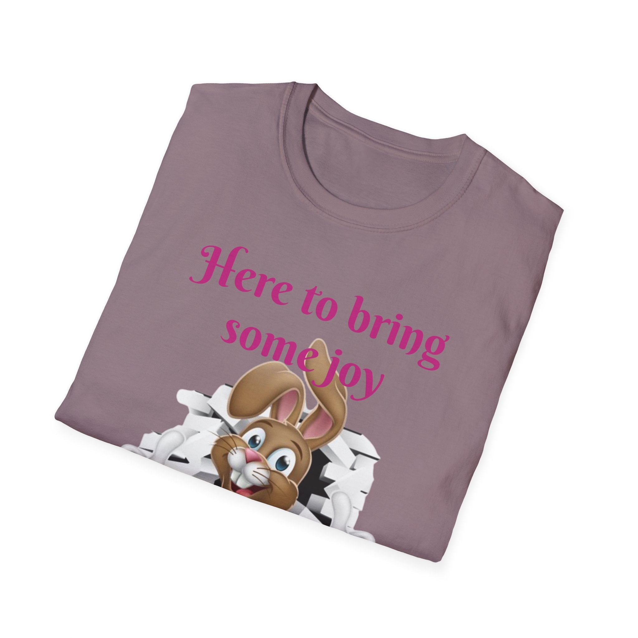Here To Bring Some Joy Let's Hop Into Adventure Unisex Softstyle T-Shirt