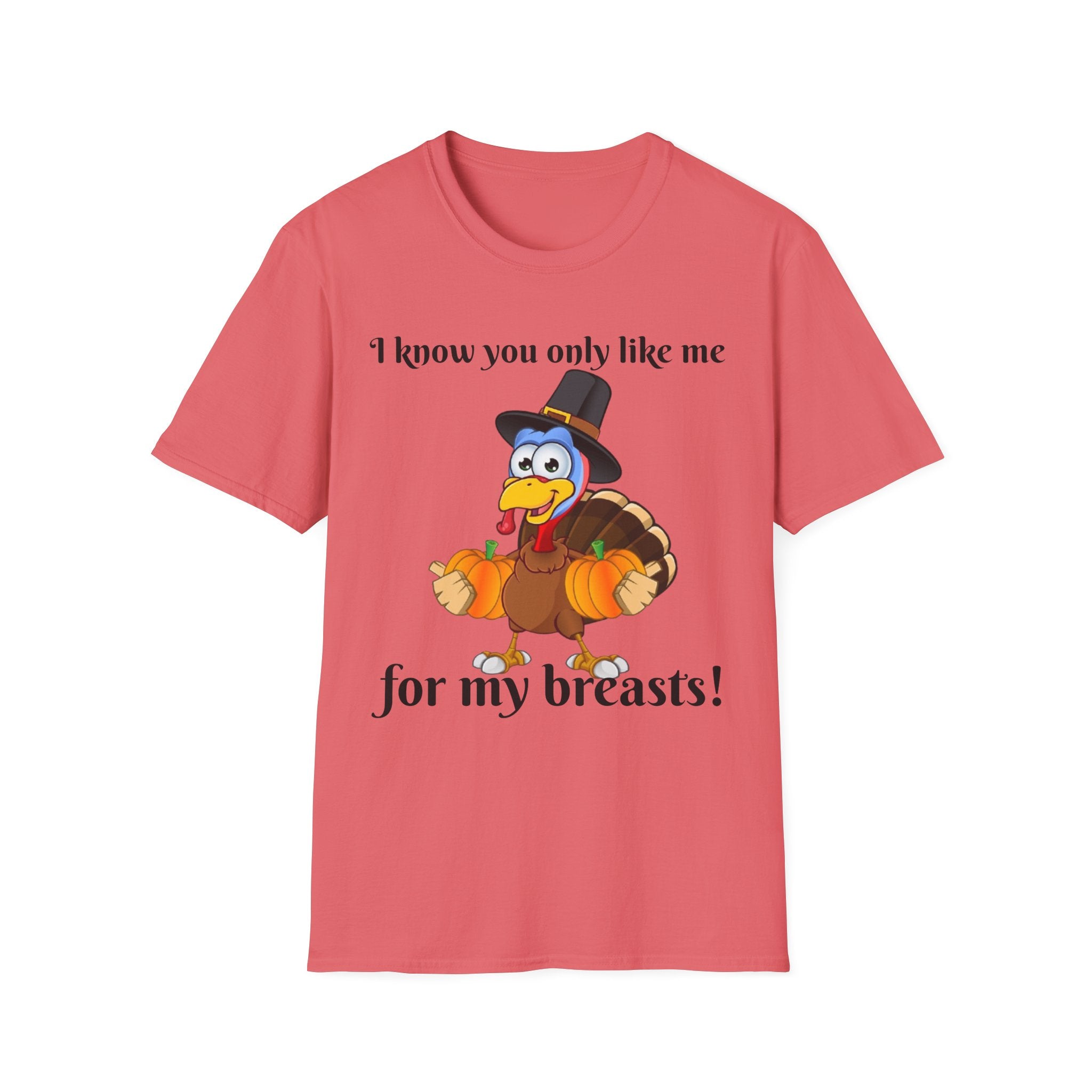 I Know You Only Like Me For My Breasts Unisex Softstyle T-Shirt