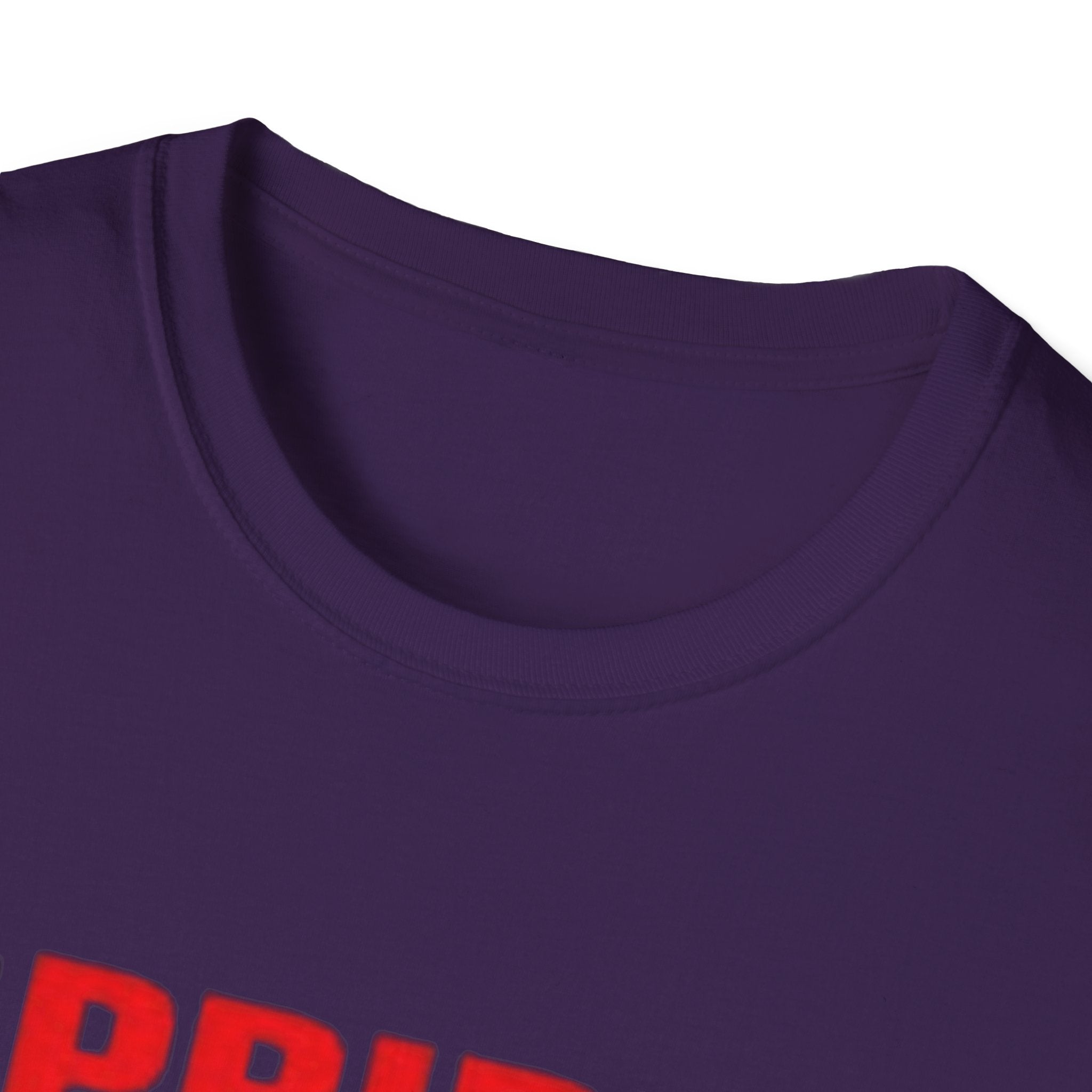 Pride Celebration Unisex Softstyle T-Shirt