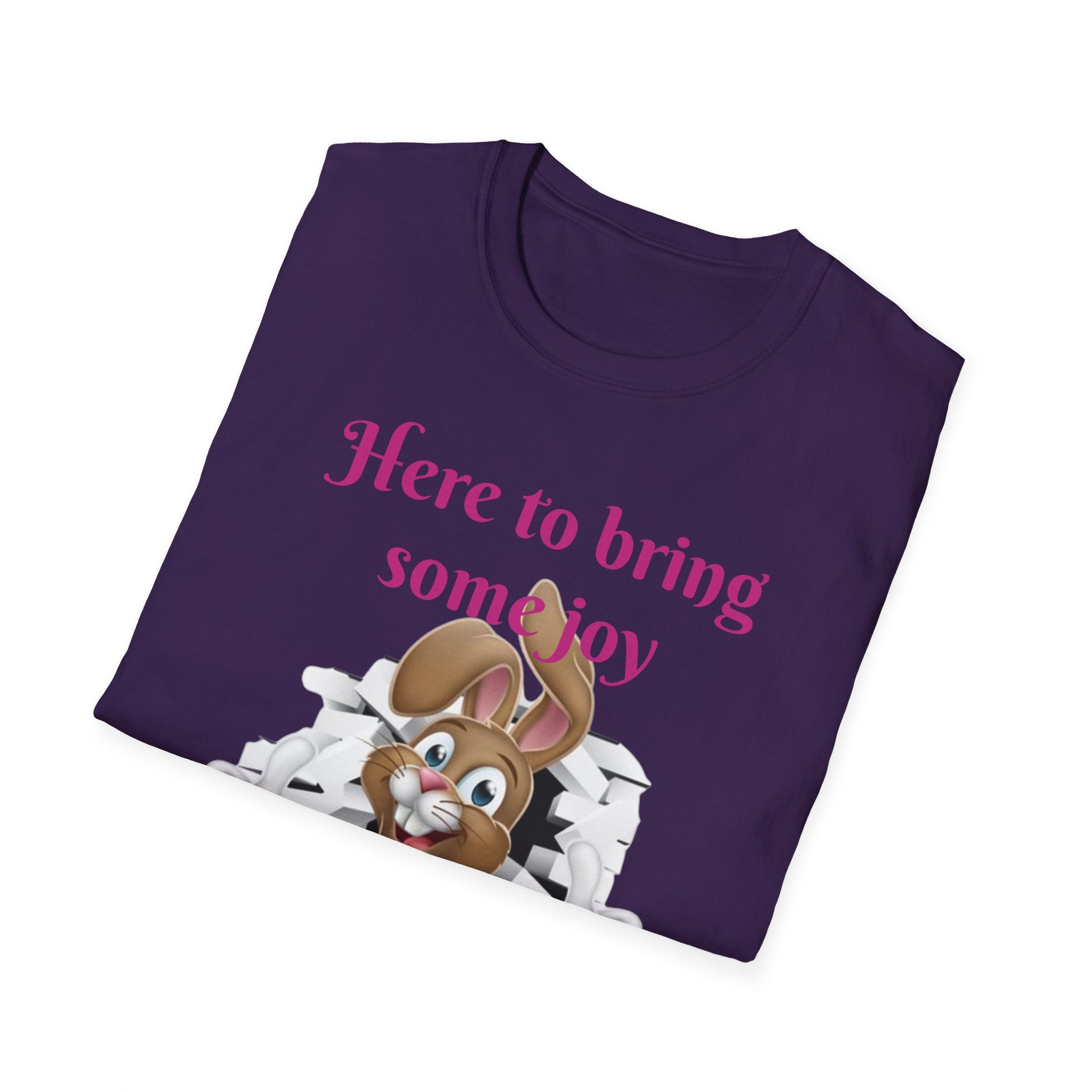 Here To Bring Some Joy Let's Hop Into Adventure Unisex Softstyle T-Shirt