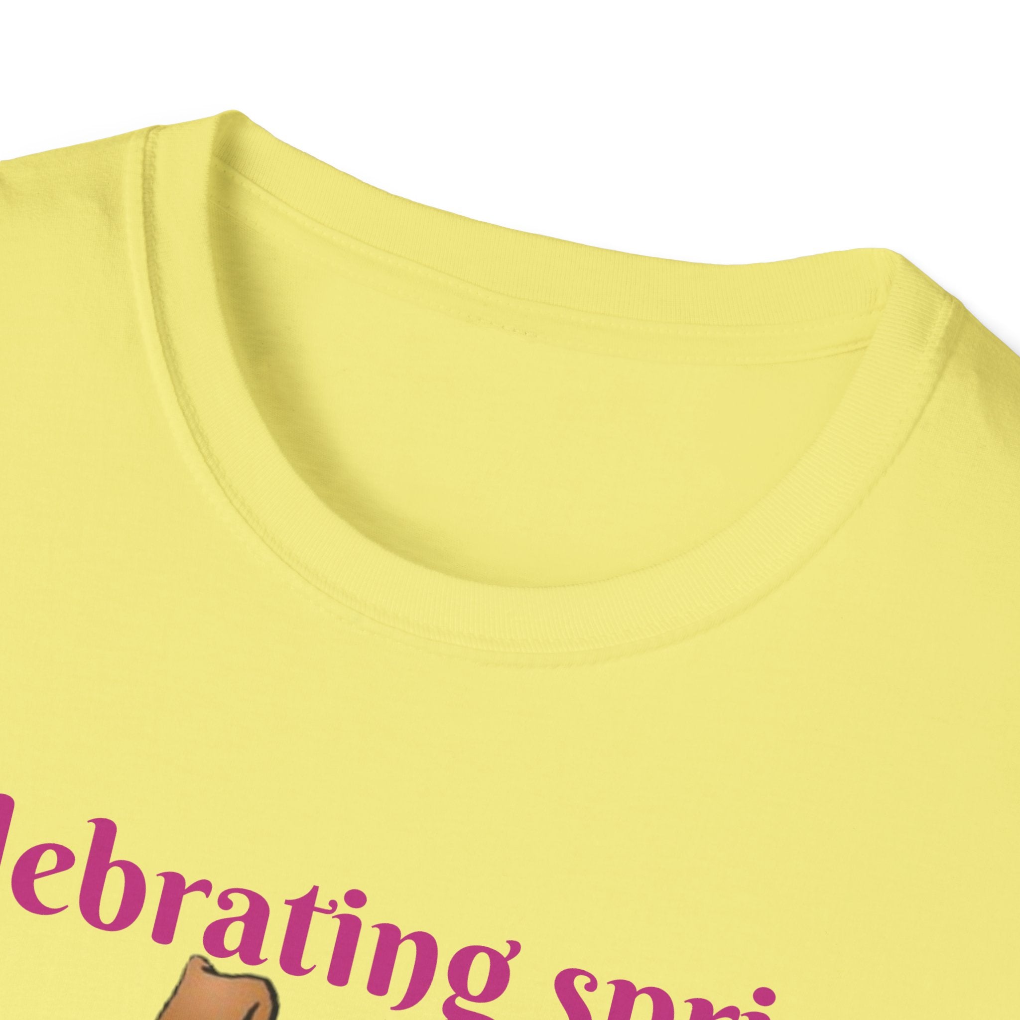 Celebrating Spring With Flowers And Friends Bunny Unisex Softstyle T-Shirt