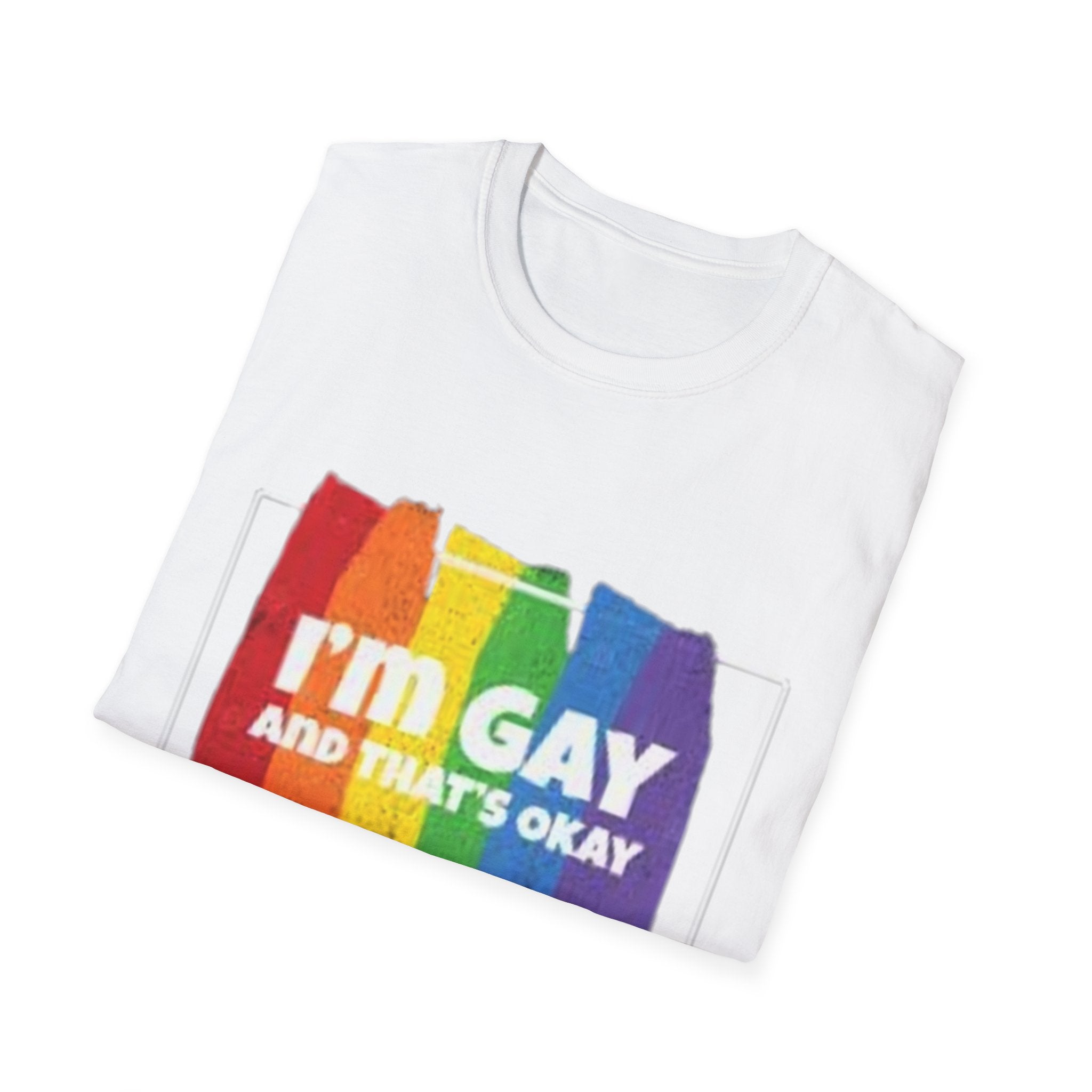 I'm GAY And That's Okay Unisex Softstyle T-Shirt