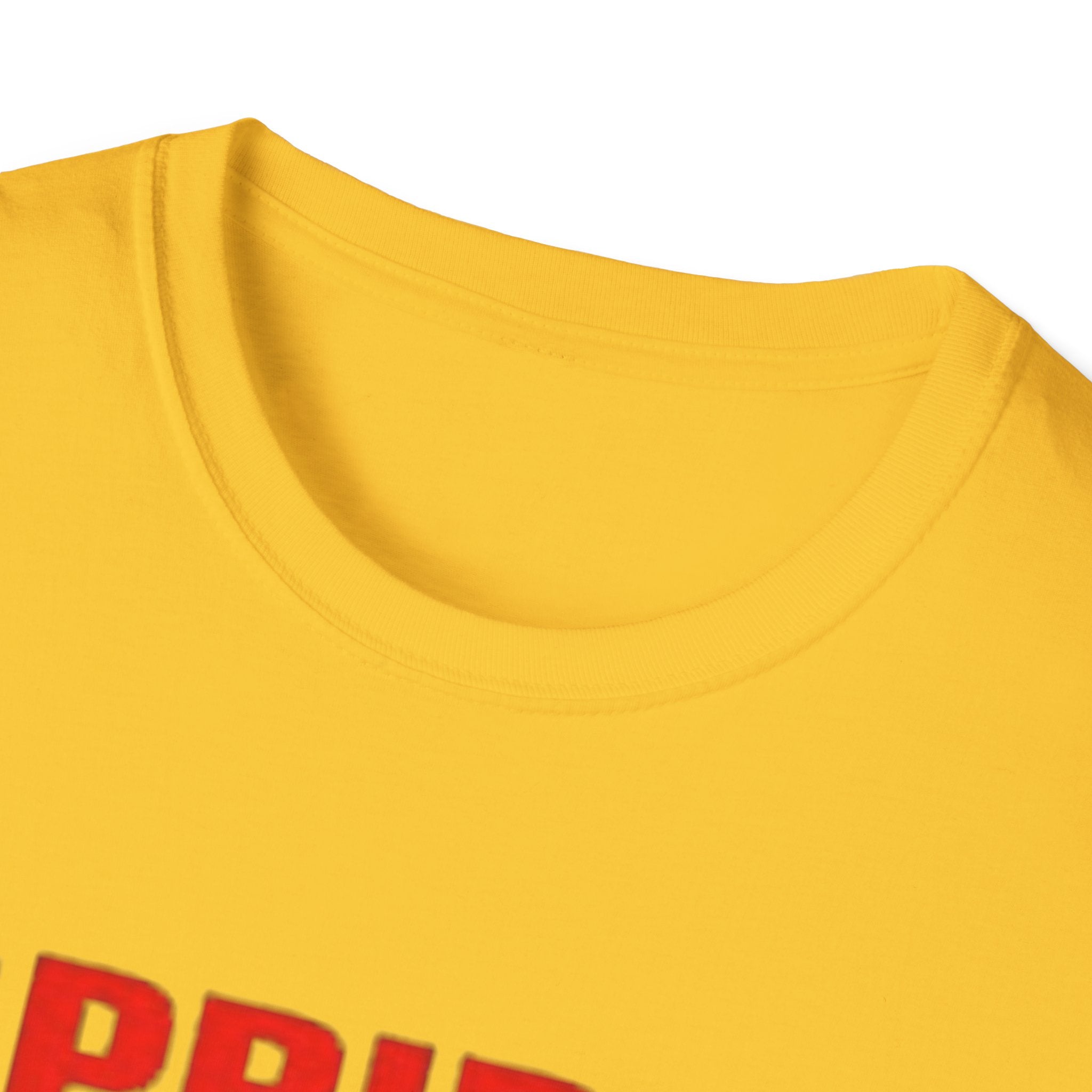 Pride Celebration Unisex Softstyle T-Shirt