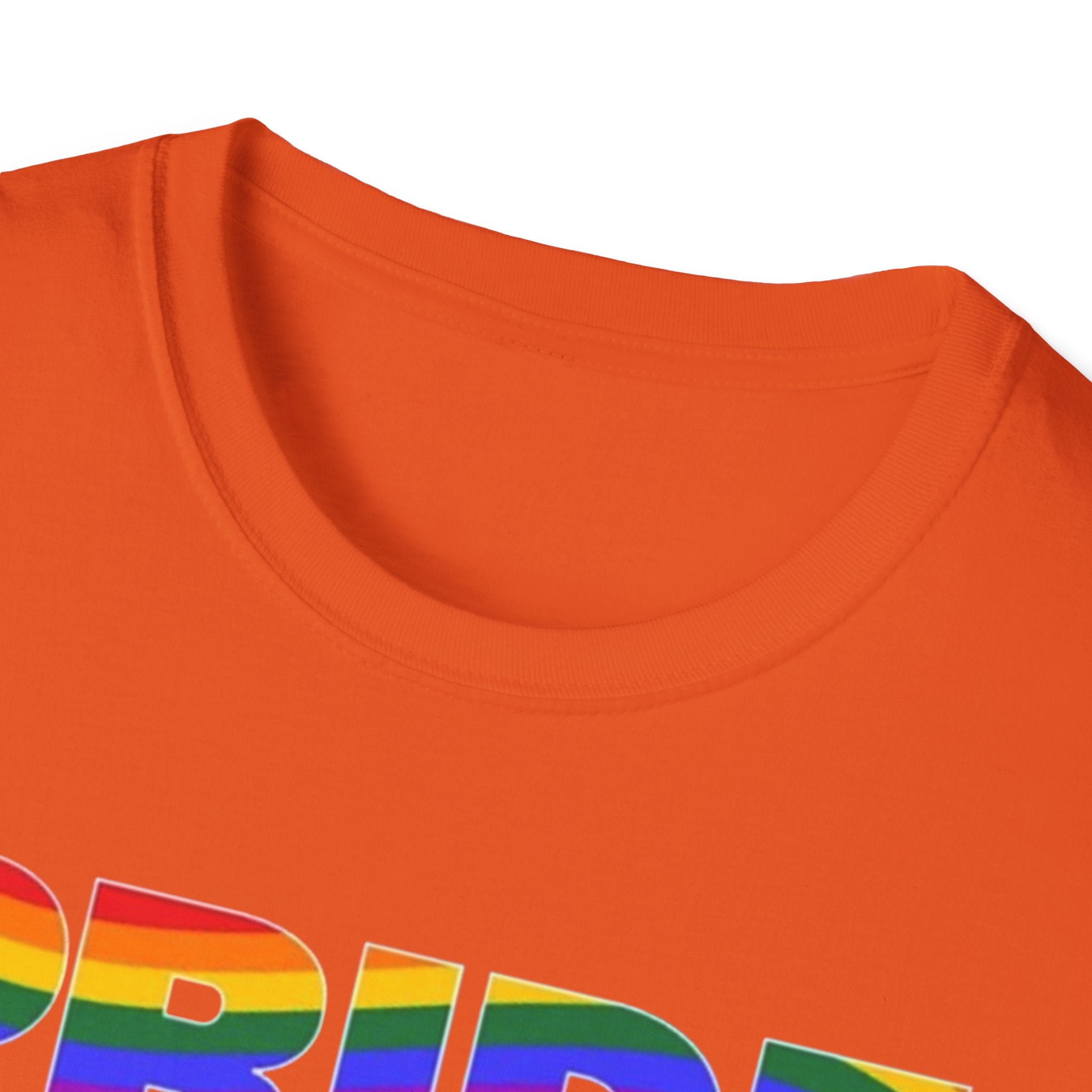 Pride Celebration Unisex Softstyle T-Shirt
