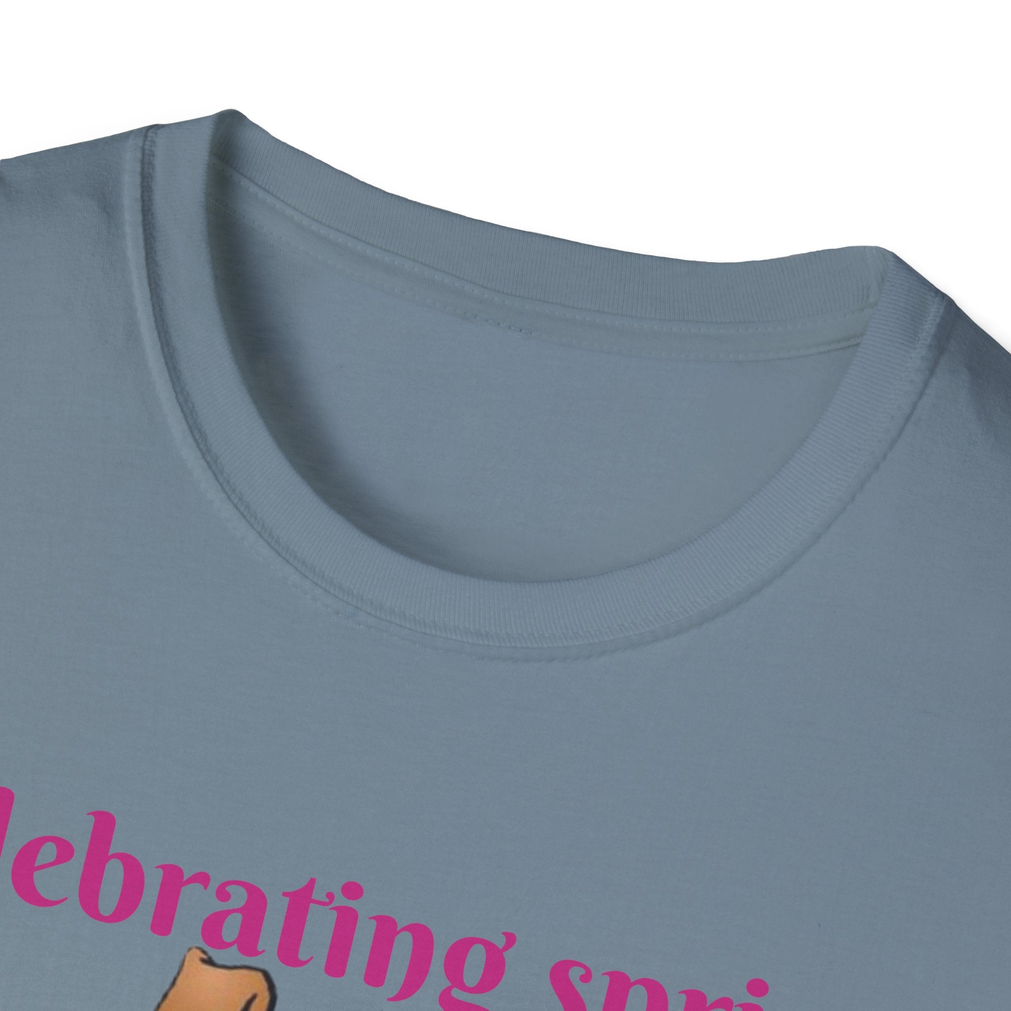 Celebrating Spring With Flowers And Friends Bunny Unisex Softstyle T-Shirt