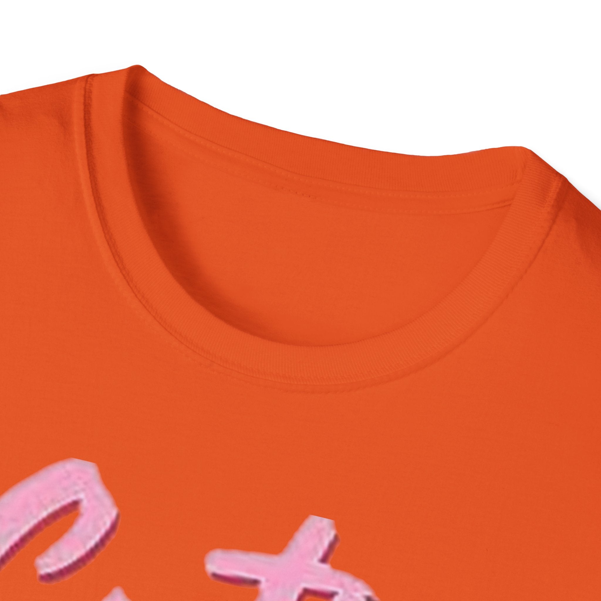 Cutie Pi Unisex Softstyle T-Shirt