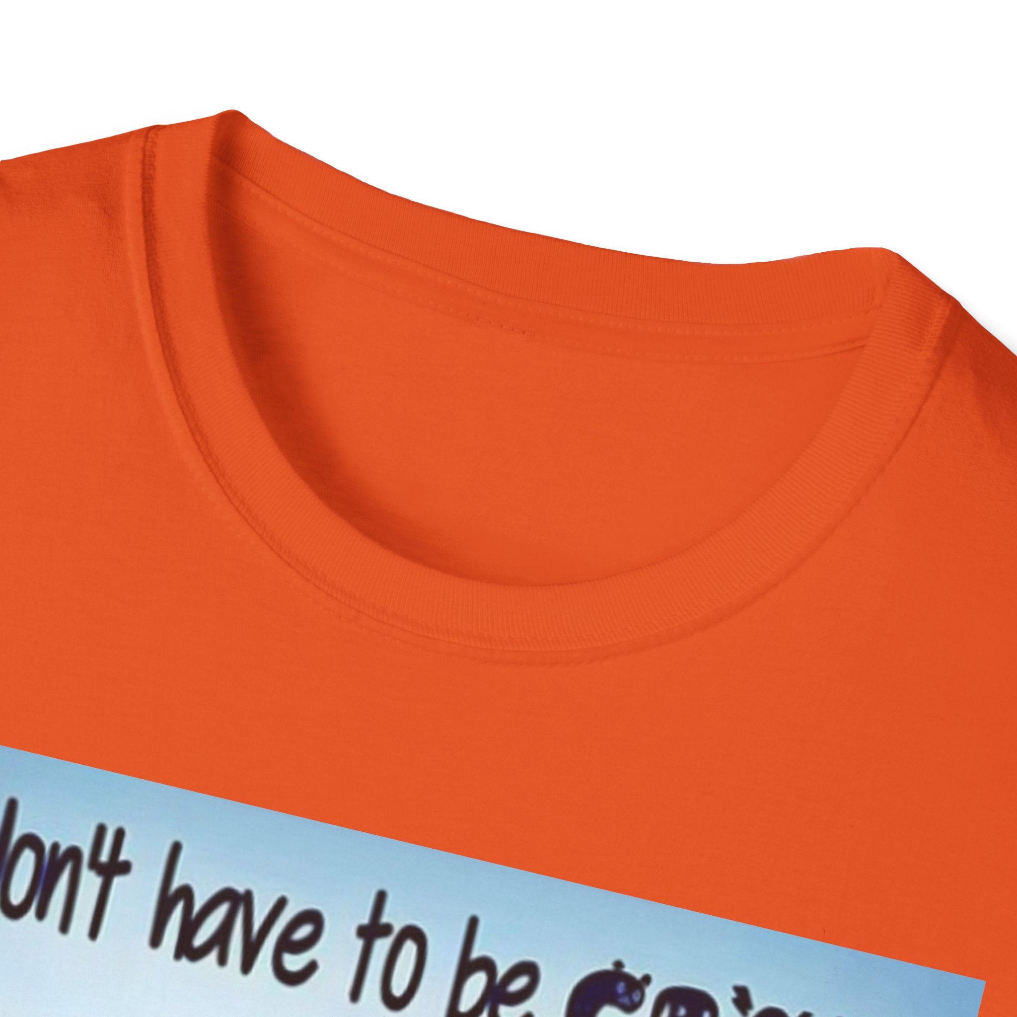You Don't Have to be CRAZY to be my Friend, I'll Train You! Unisex Softstyle T-Shirt
