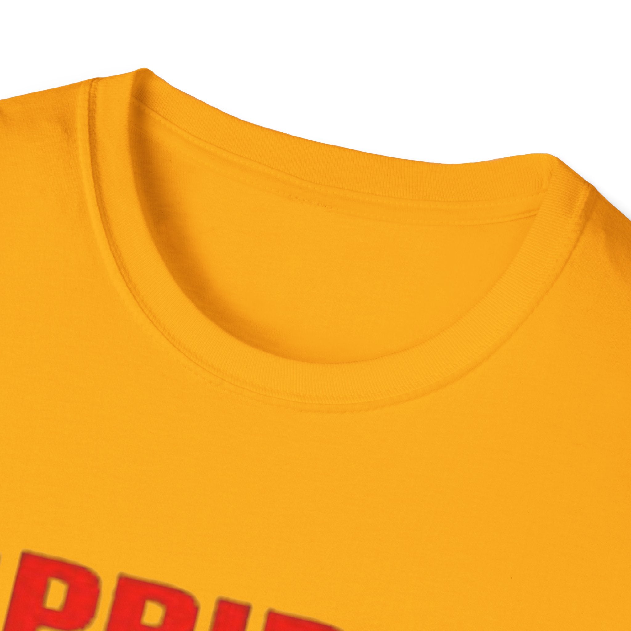 Pride Celebration Unisex Softstyle T-Shirt
