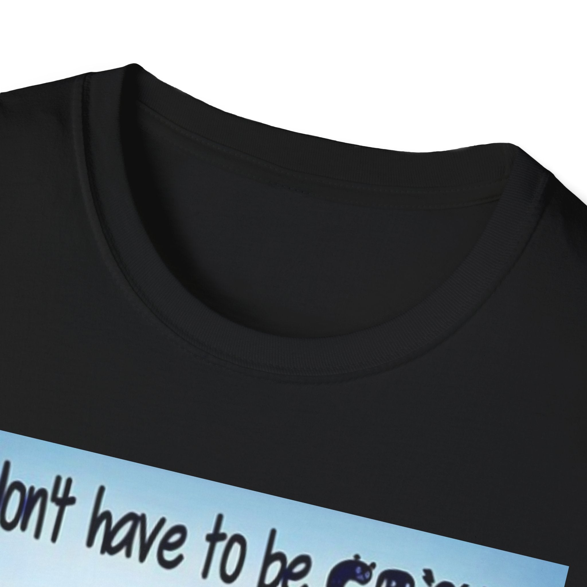 You Don't Have to be CRAZY to be my Friend, I'll Train You! Unisex Softstyle T-Shirt