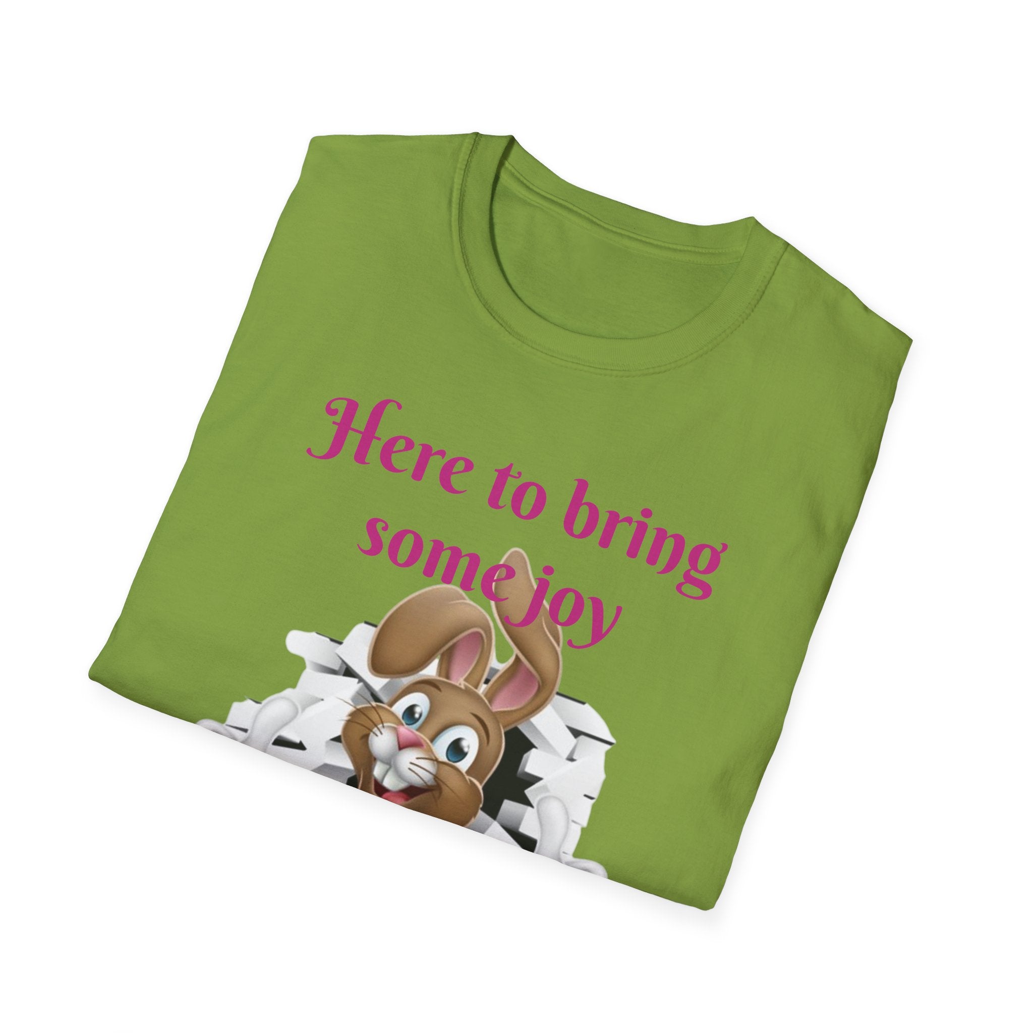 Here To Bring Some Joy Let's Hop Into Adventure Unisex Softstyle T-Shirt