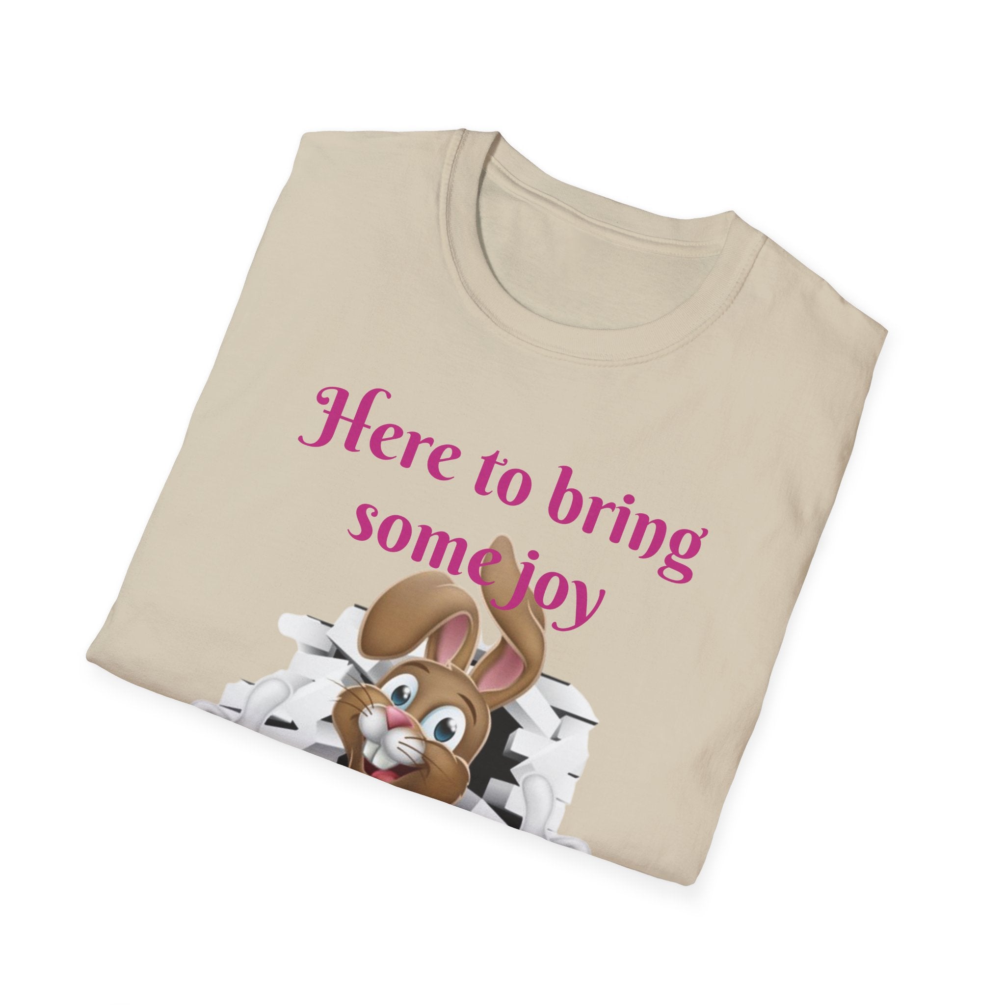 Here To Bring Some Joy Let's Hop Into Adventure Unisex Softstyle T-Shirt