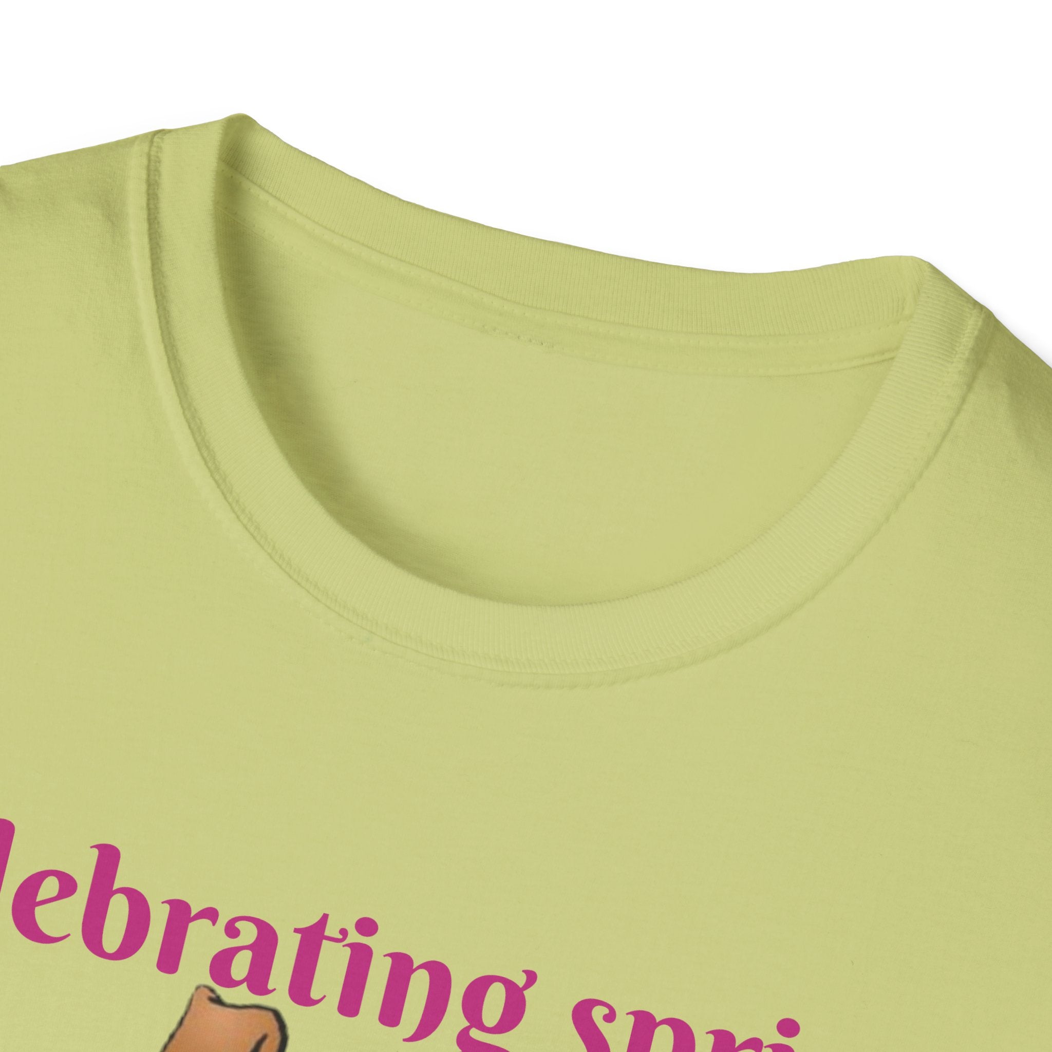Celebrating Spring With Flowers And Friends Bunny Unisex Softstyle T-Shirt