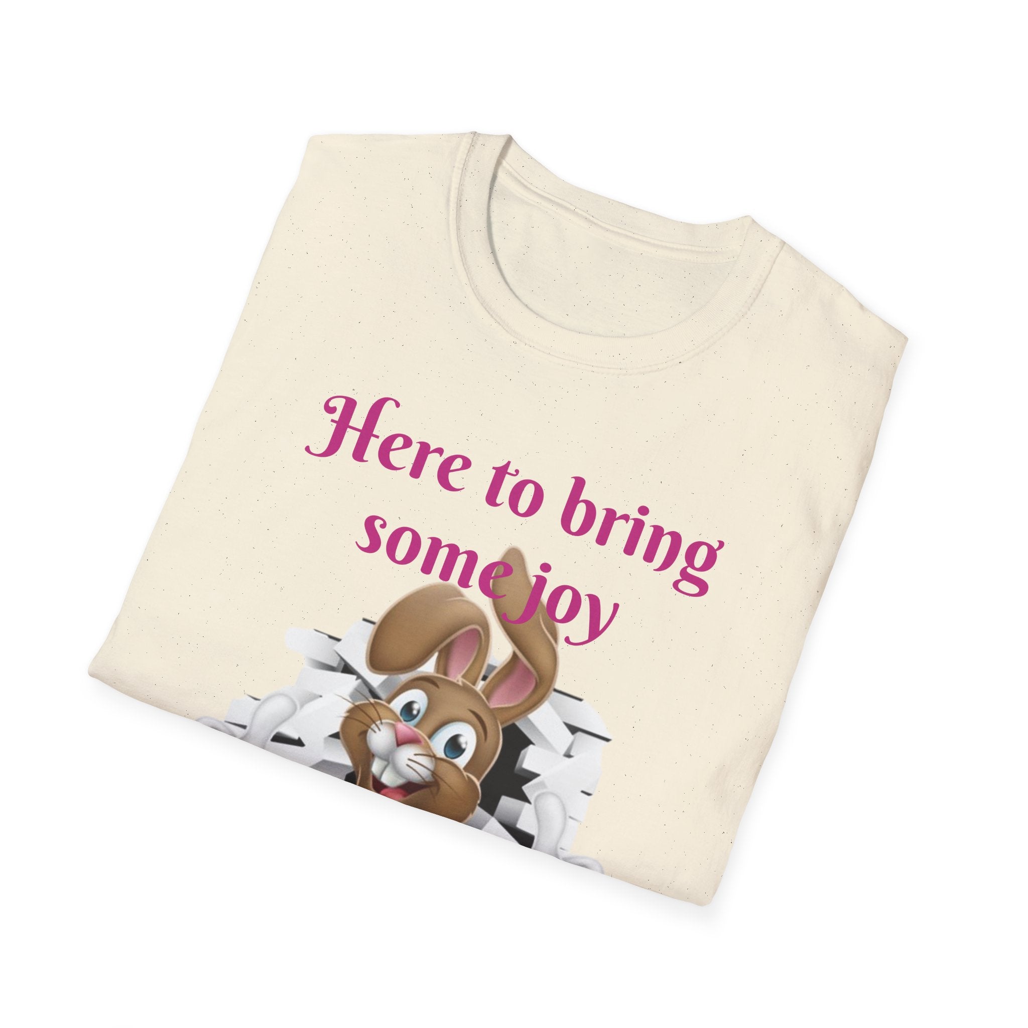 Here To Bring Some Joy Let's Hop Into Adventure Unisex Softstyle T-Shirt