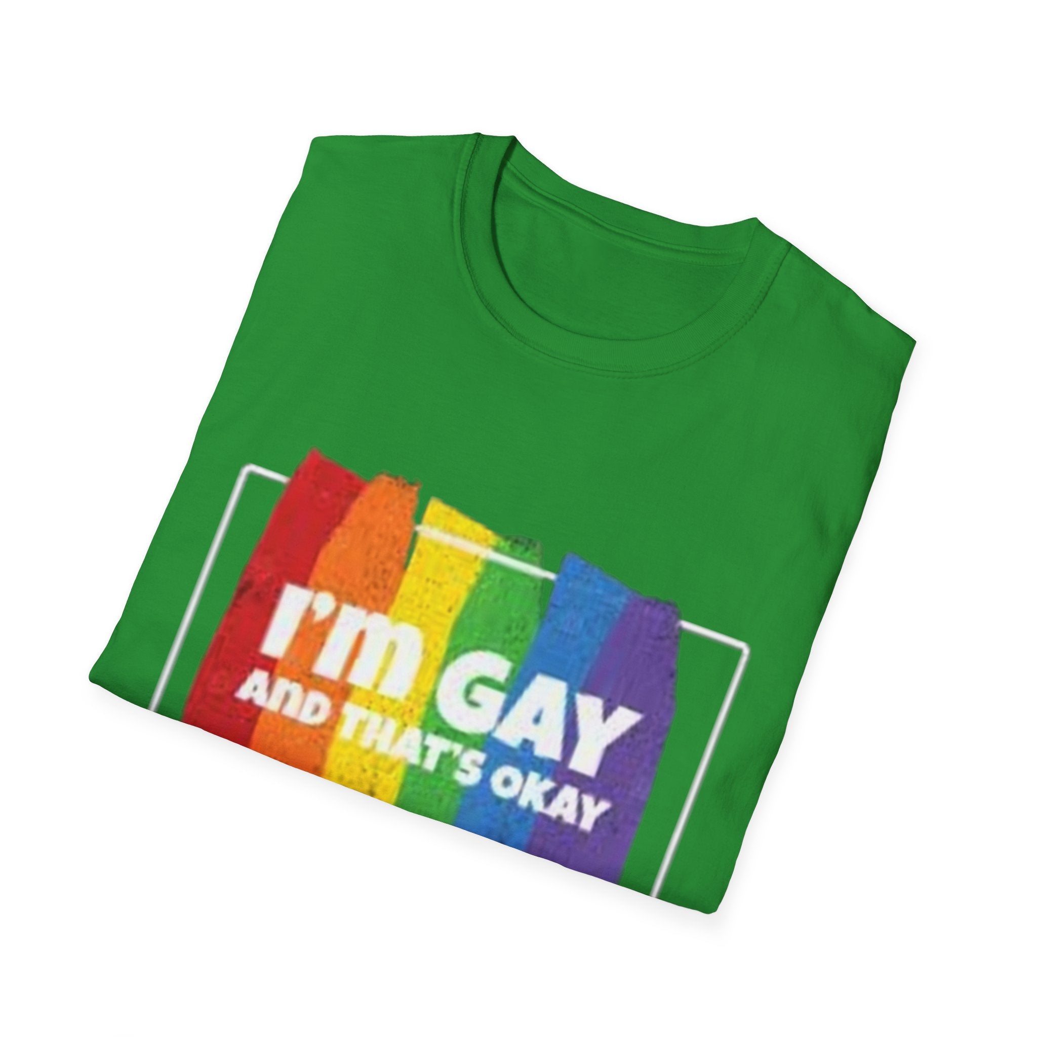 I'm GAY And That's Okay Unisex Softstyle T-Shirt