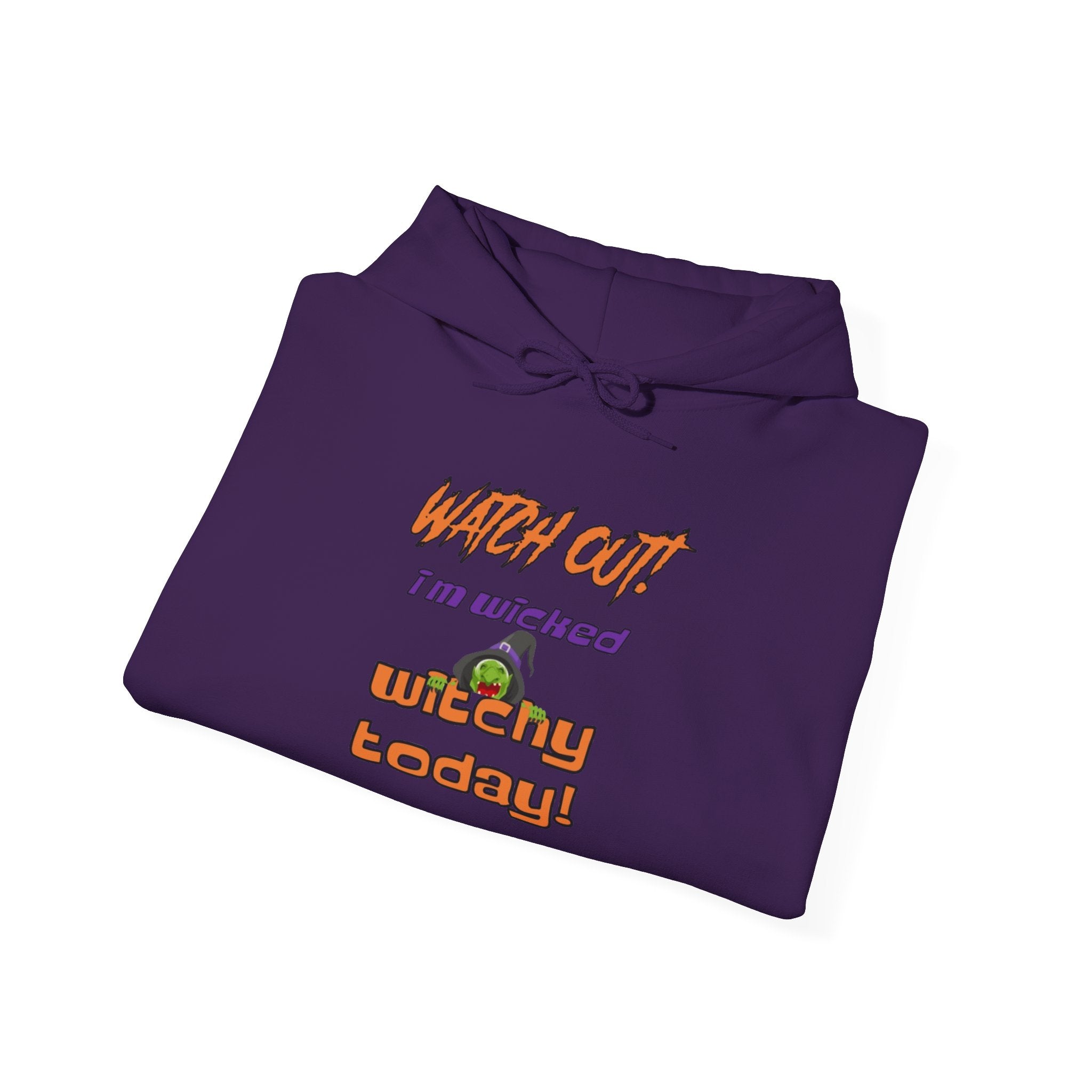 Watch Out I Am Wicked Witchy Today Unisex Heavy Blend Hooded Sweatshirt