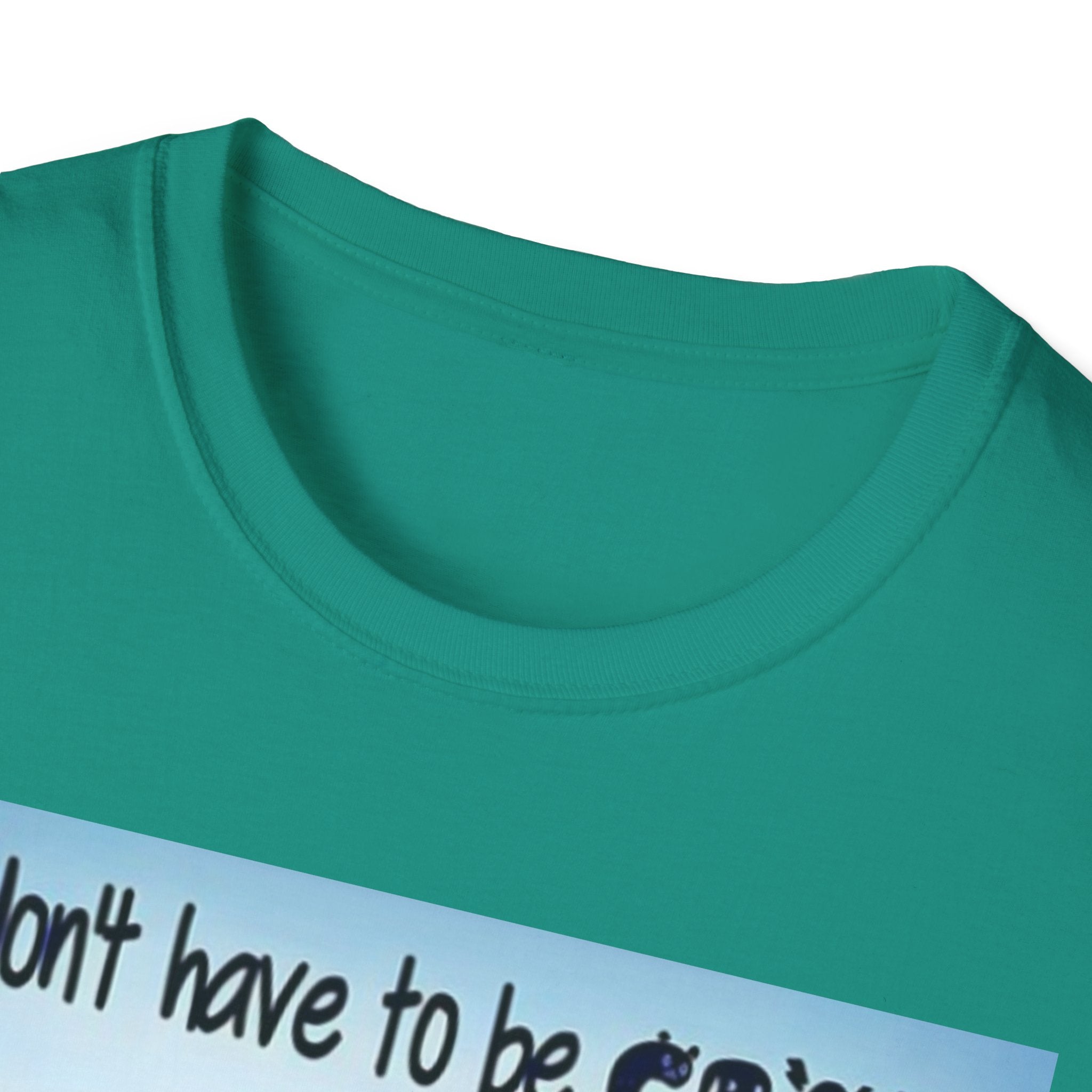 You Don't Have to be CRAZY to be my Friend, I'll Train You! Unisex Softstyle T-Shirt