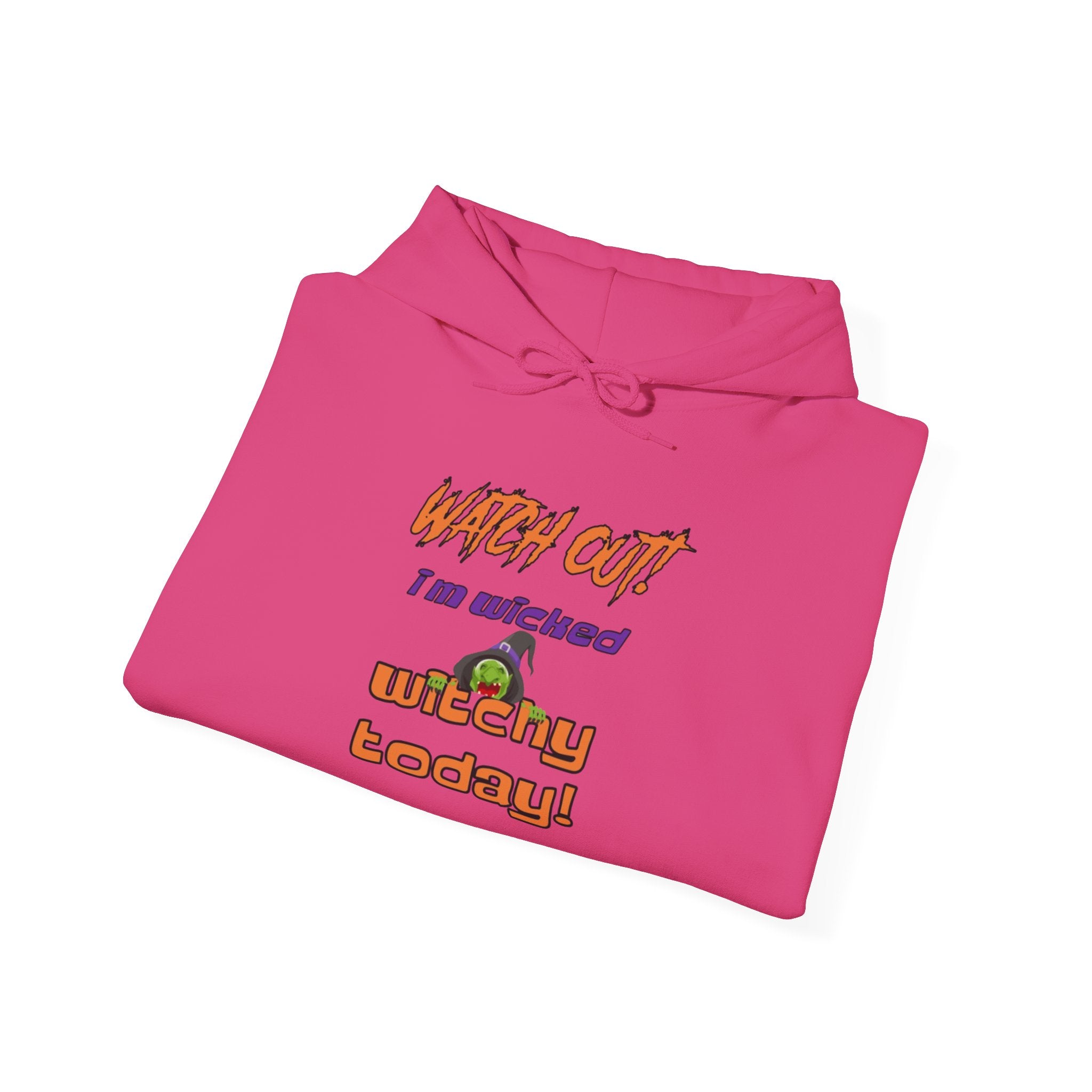 Watch Out I Am Wicked Witchy Today Unisex Heavy Blend Hooded Sweatshirt