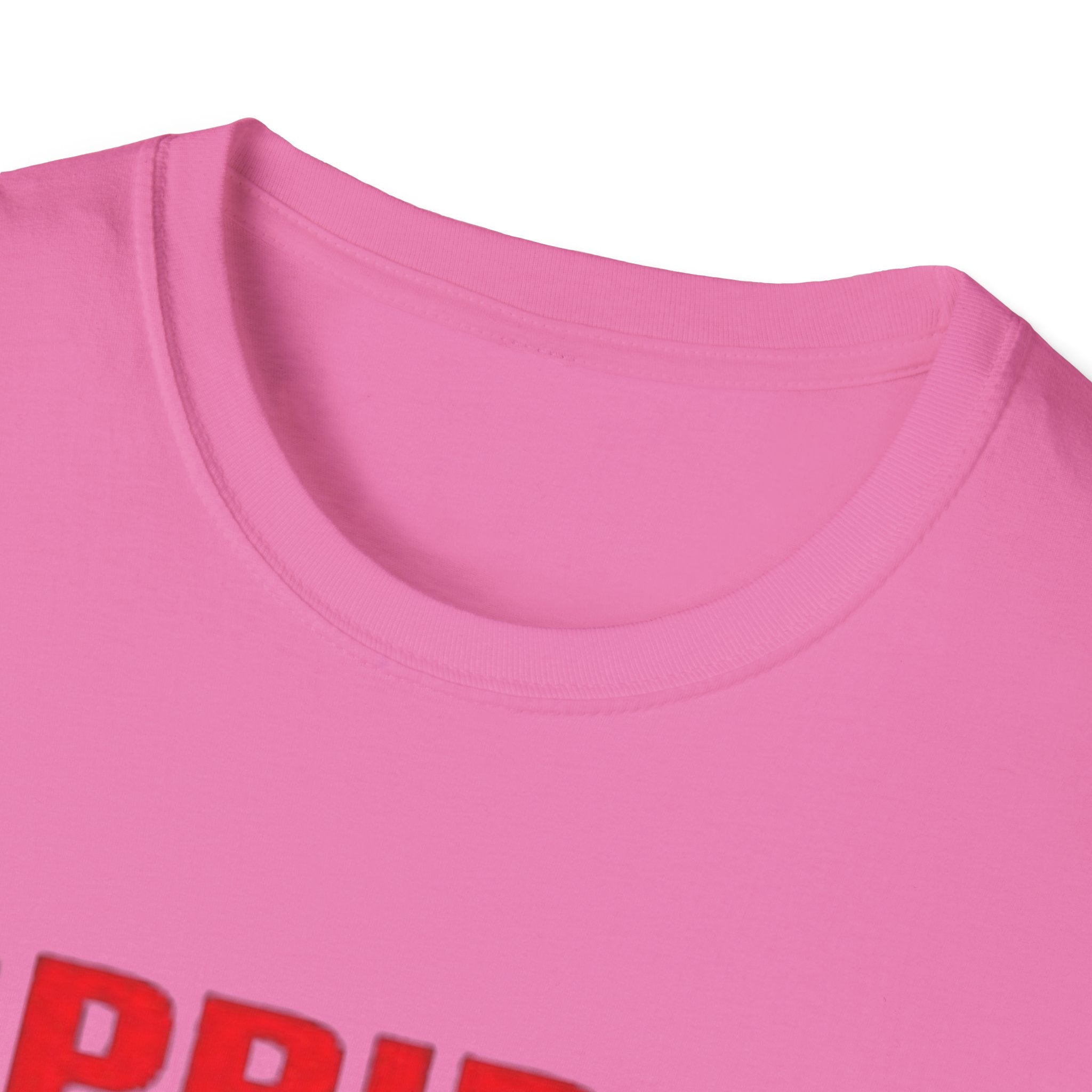 Pride Celebration Unisex Softstyle T-Shirt