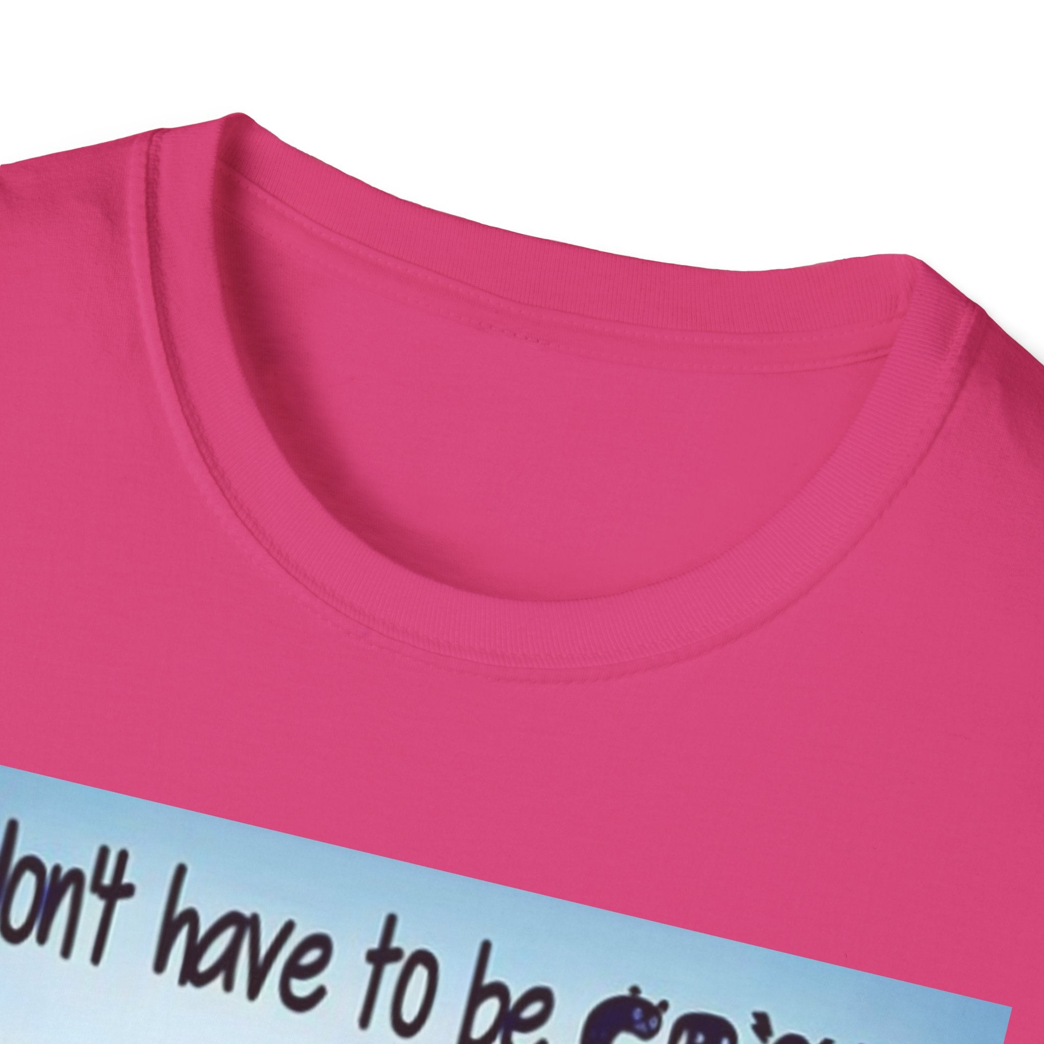 You Don't Have to be CRAZY to be my Friend, I'll Train You! Unisex Softstyle T-Shirt