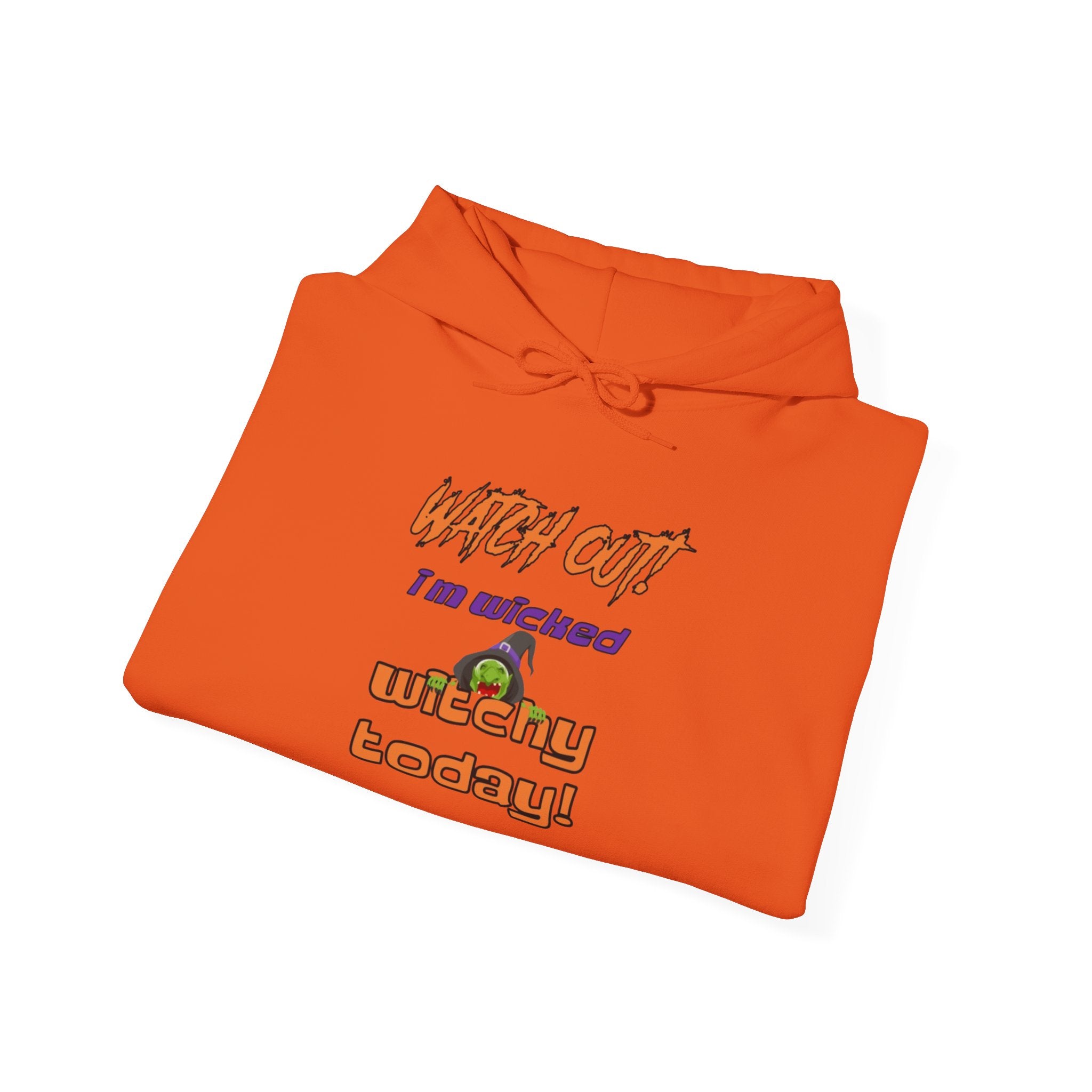Watch Out I Am Wicked Witchy Today Unisex Heavy Blend Hooded Sweatshirt