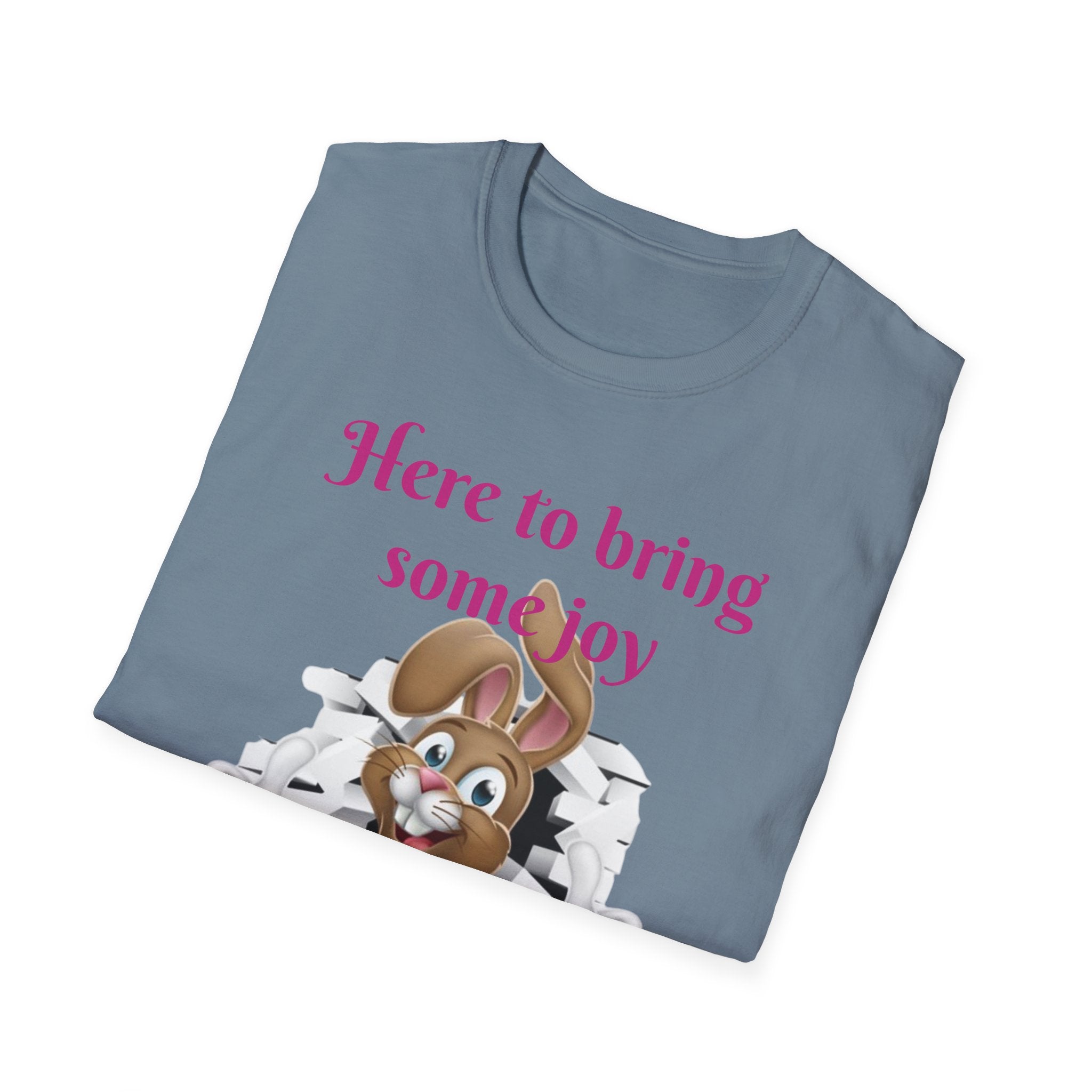 Here To Bring Some Joy Let's Hop Into Adventure Unisex Softstyle T-Shirt