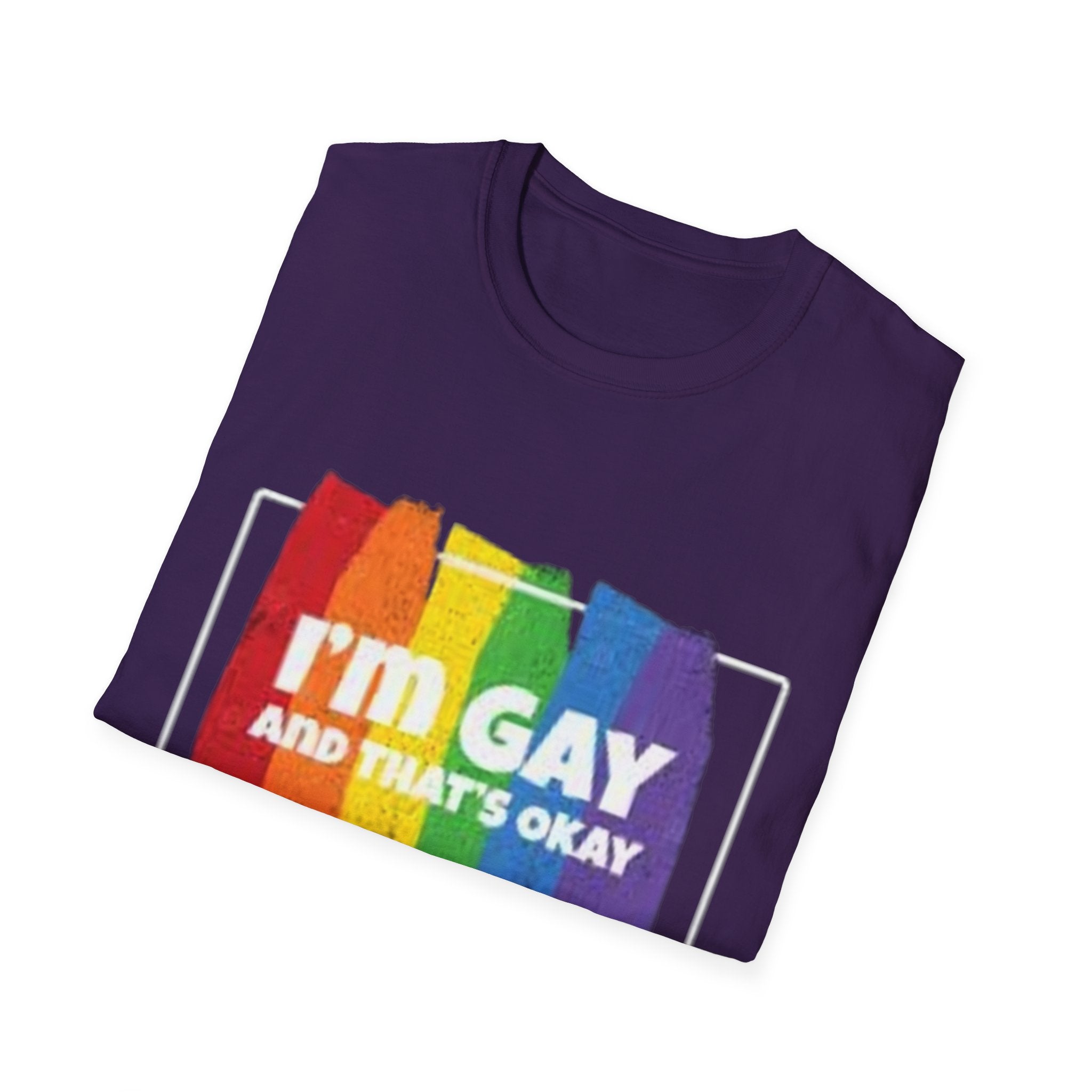 I'm GAY And That's Okay Unisex Softstyle T-Shirt