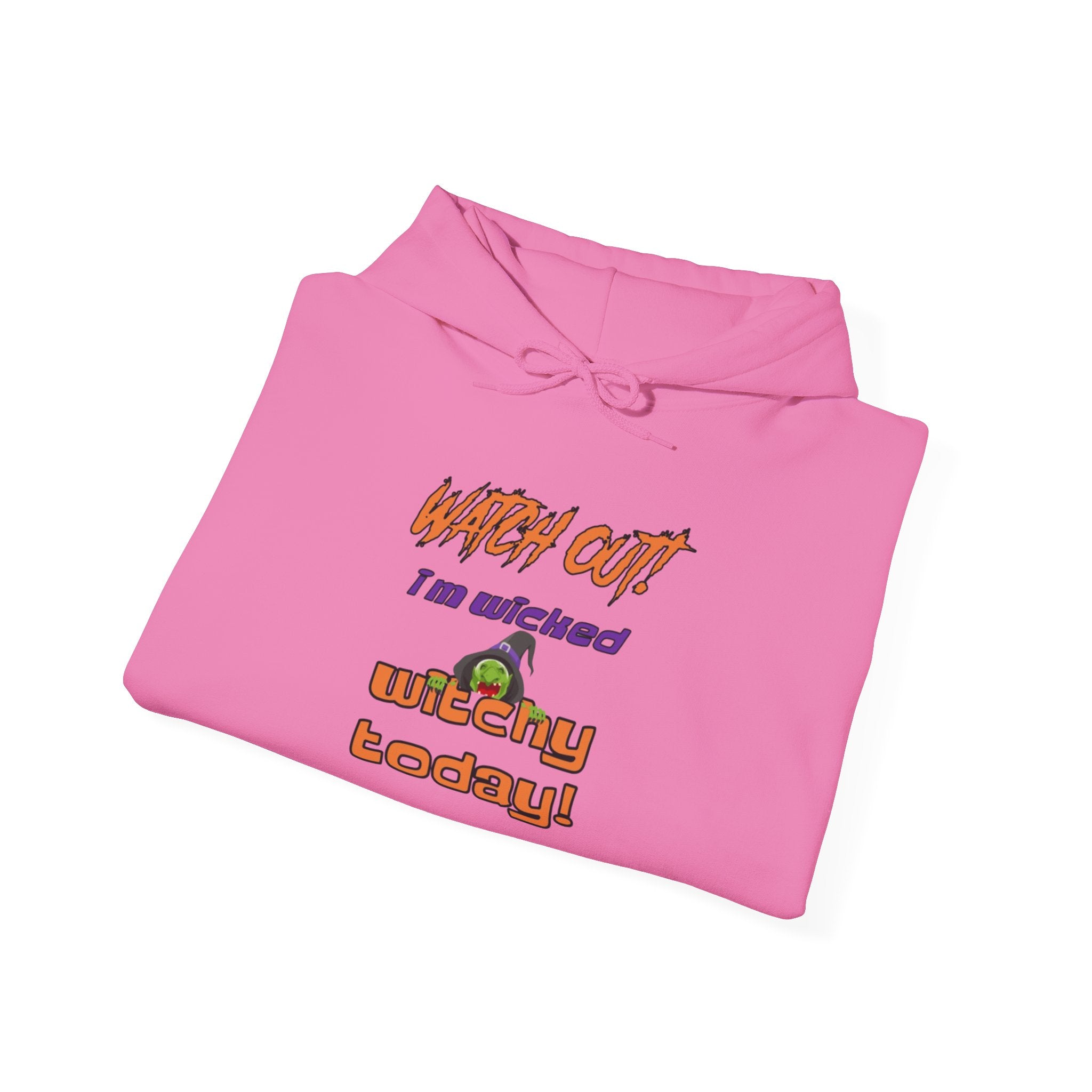 Watch Out I Am Wicked Witchy Today Unisex Heavy Blend Hooded Sweatshirt