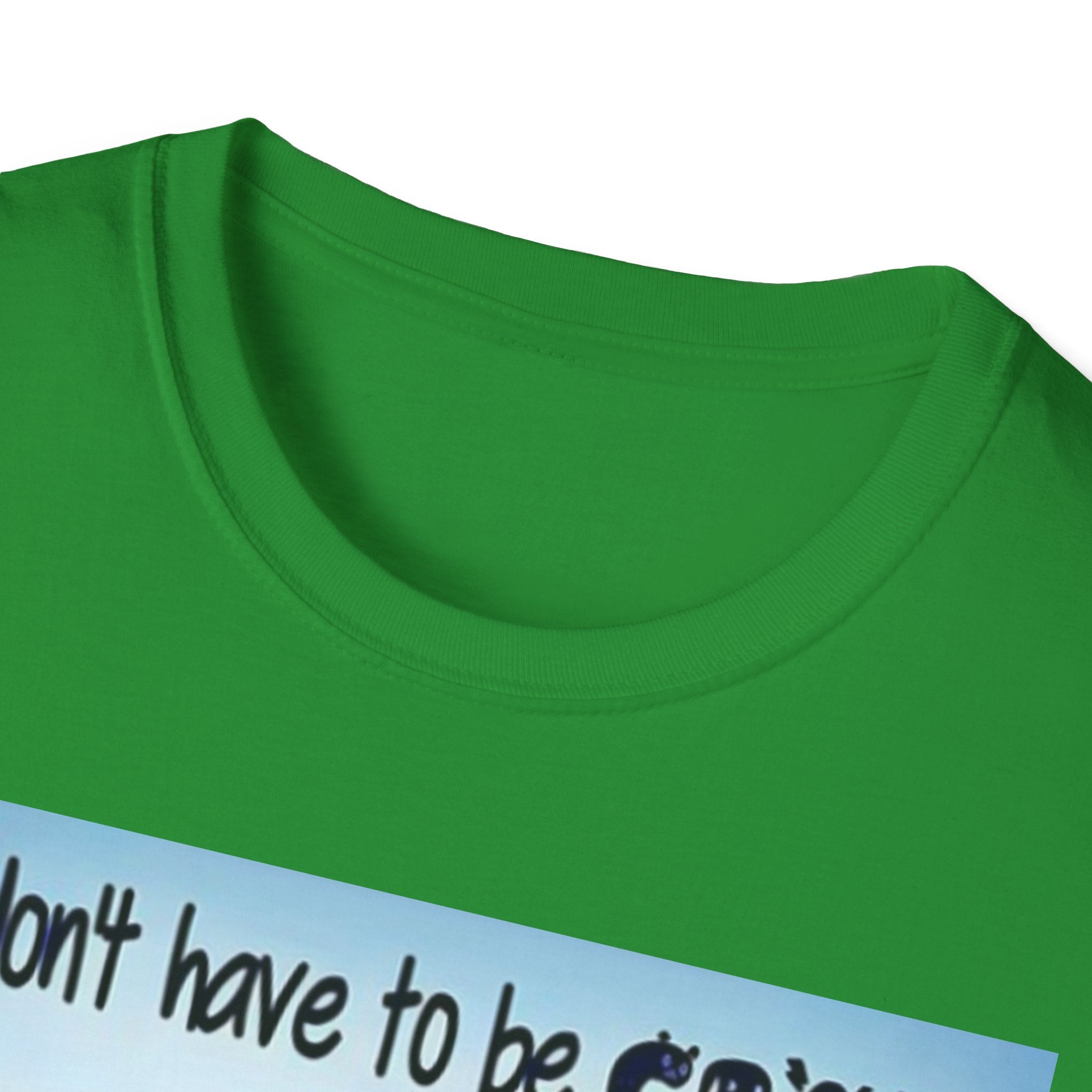 You Don't Have to be CRAZY to be my Friend, I'll Train You! Unisex Softstyle T-Shirt