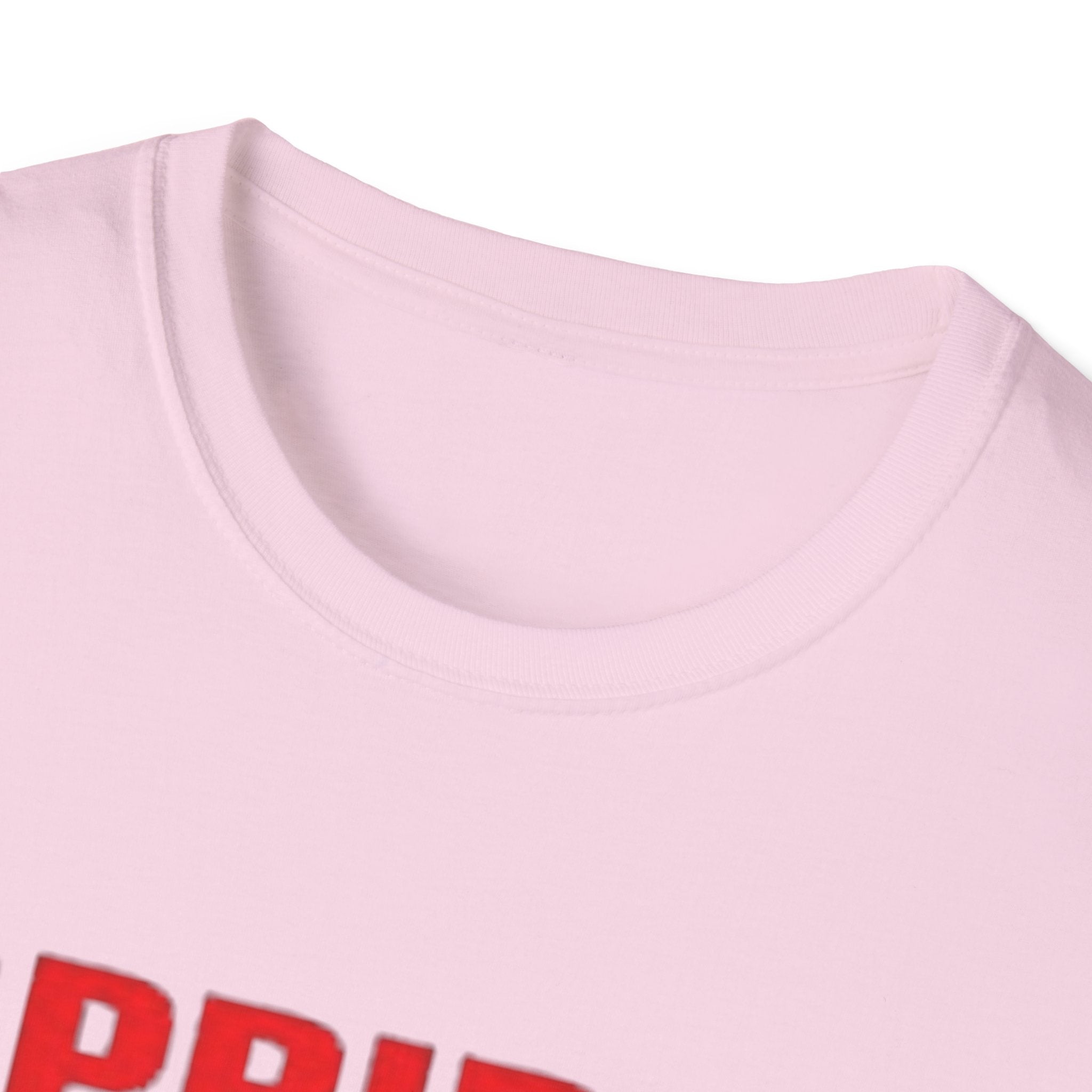 Pride Celebration Unisex Softstyle T-Shirt