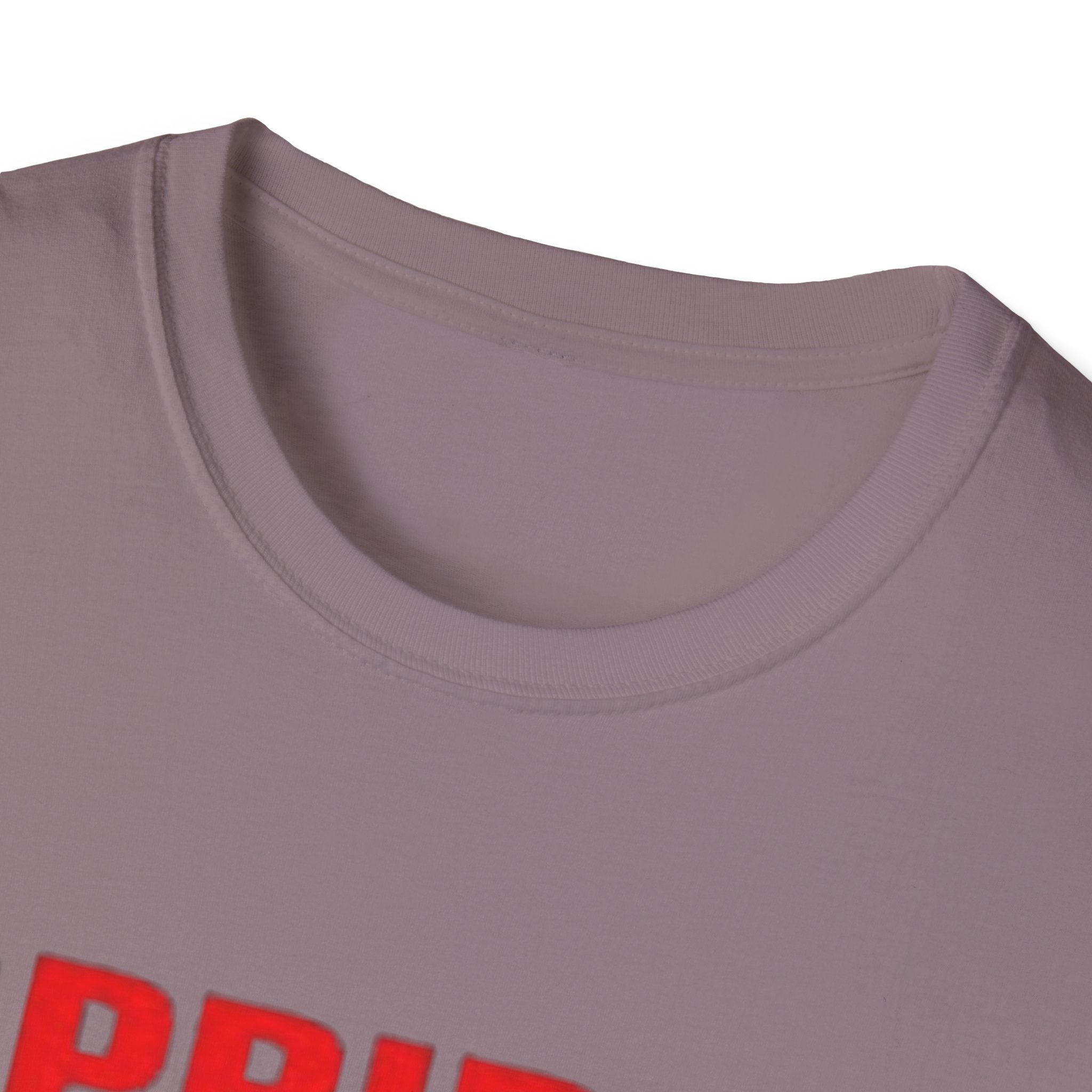 Pride Celebration Unisex Softstyle T-Shirt