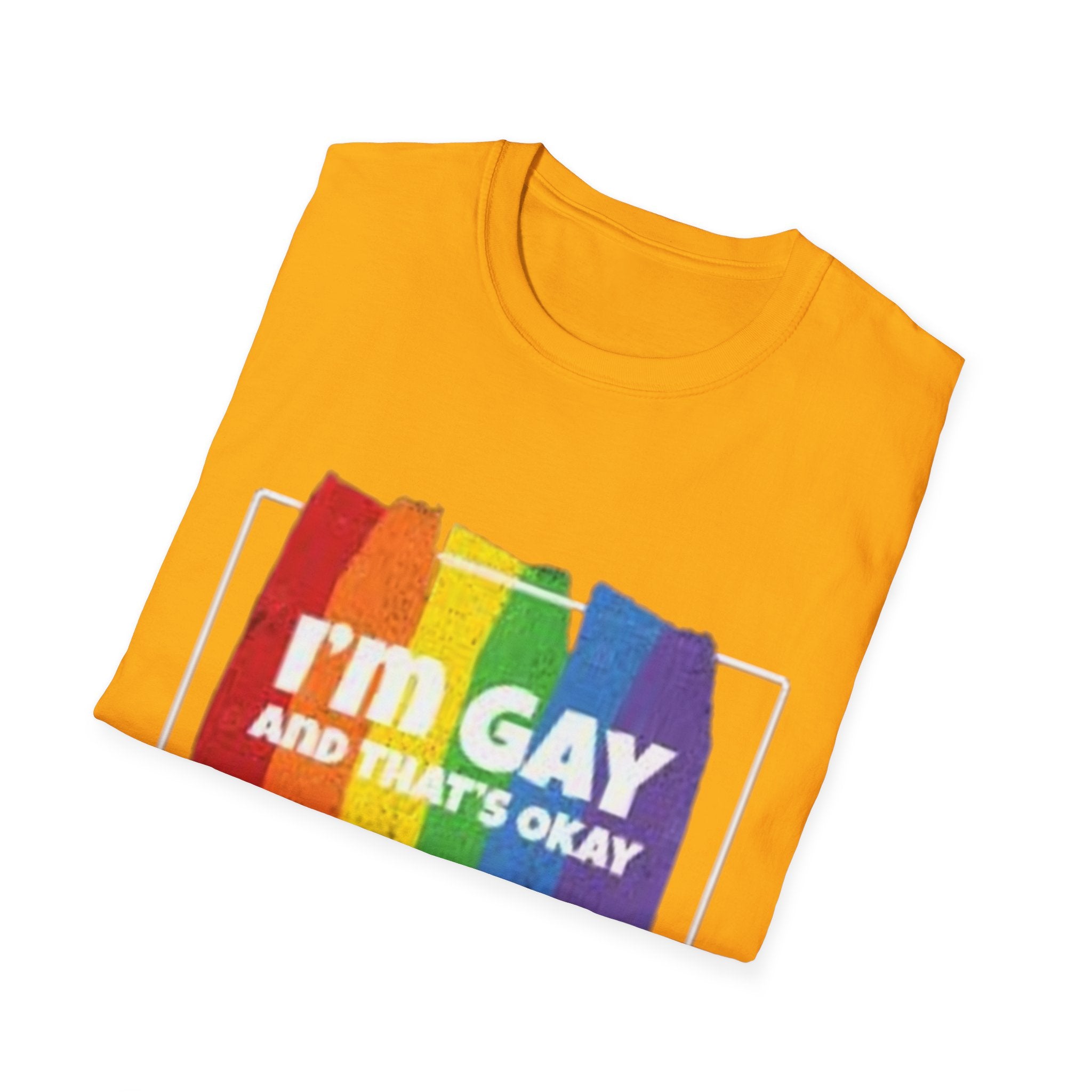 I'm GAY And That's Okay Unisex Softstyle T-Shirt