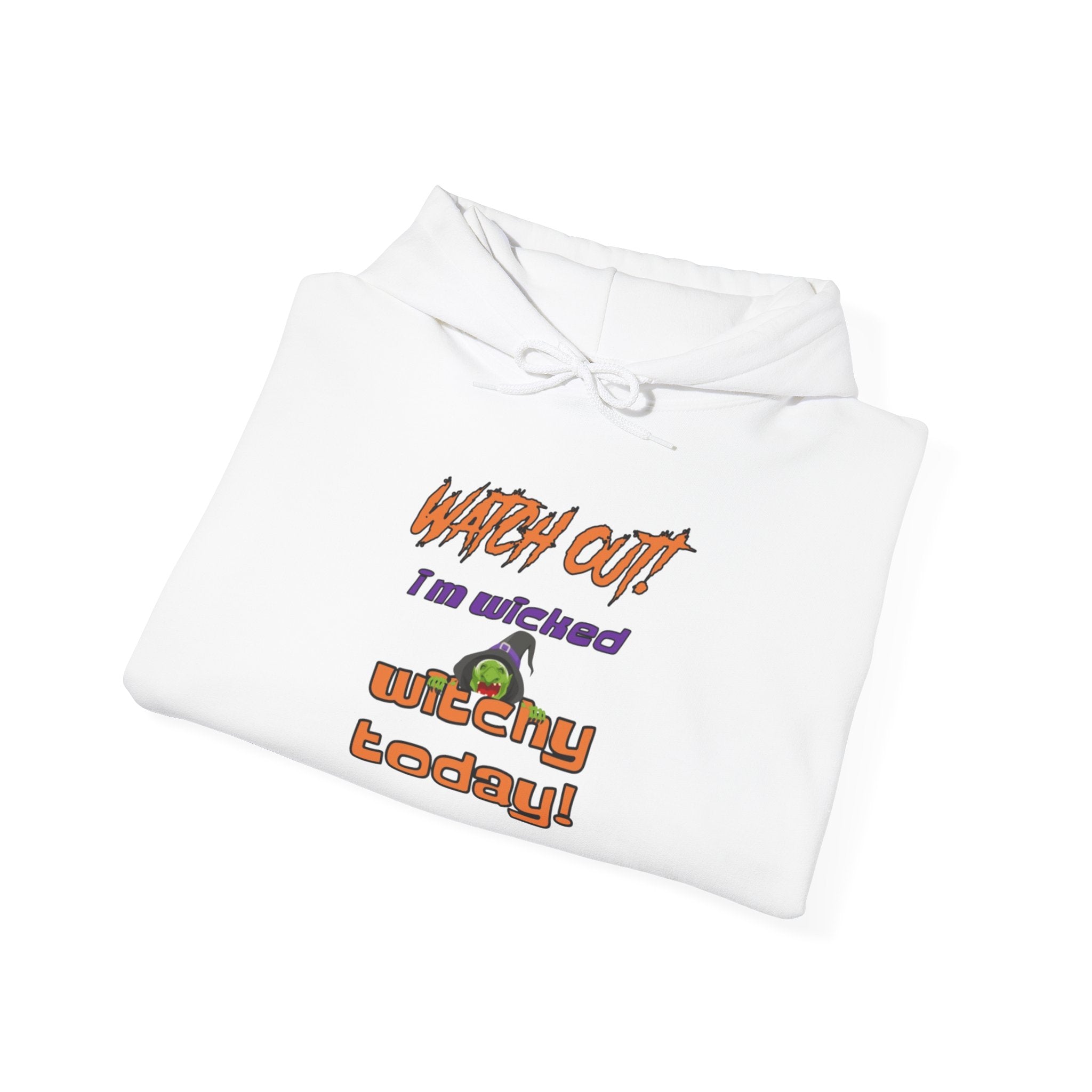 Watch Out I Am Wicked Witchy Today Unisex Heavy Blend Hooded Sweatshirt