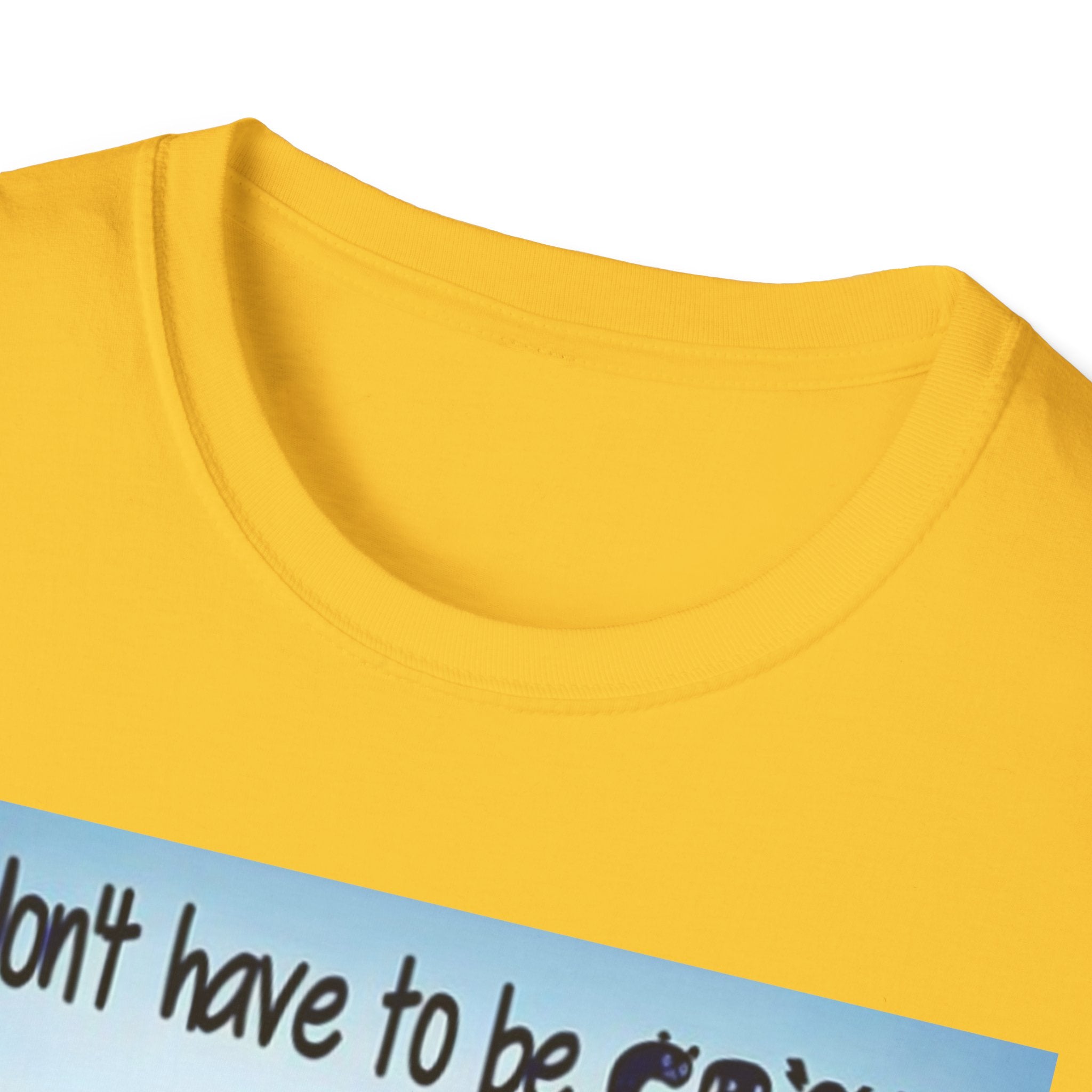 You Don't Have to be CRAZY to be my Friend, I'll Train You! Unisex Softstyle T-Shirt