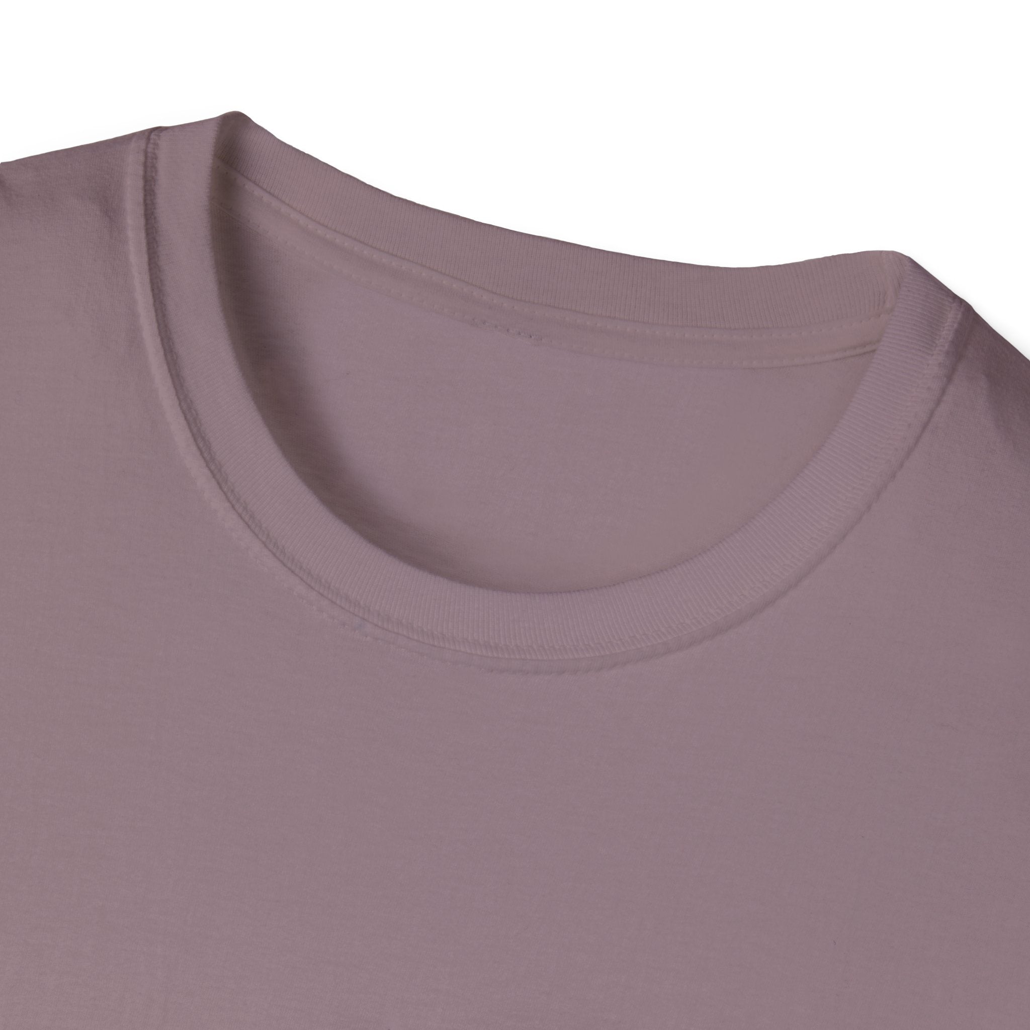 Bee Kind Unisex Softstyle T-Shirt