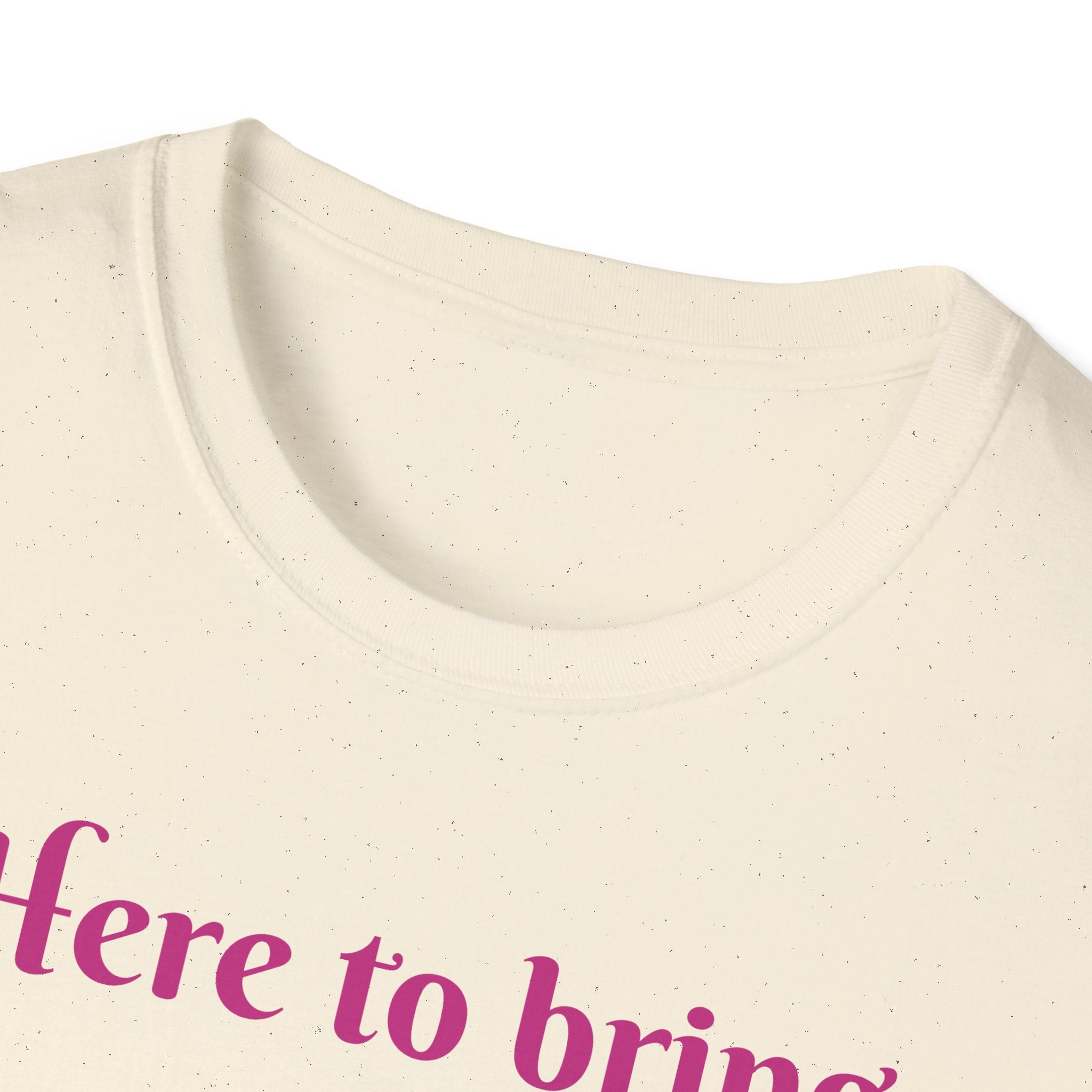 Here To Bring Some Joy Let's Hop Into Adventure Unisex Softstyle T-Shirt