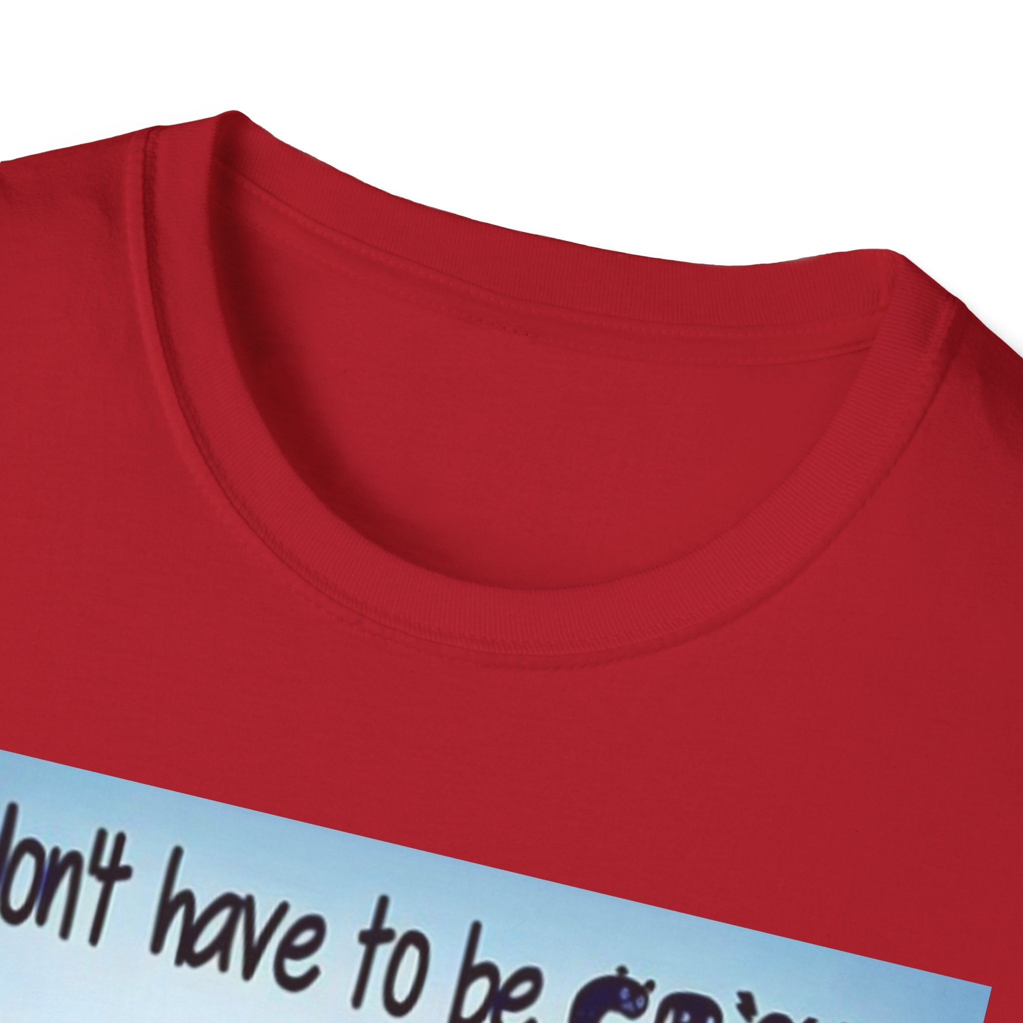 You Don't Have to be CRAZY to be my Friend, I'll Train You! Unisex Softstyle T-Shirt